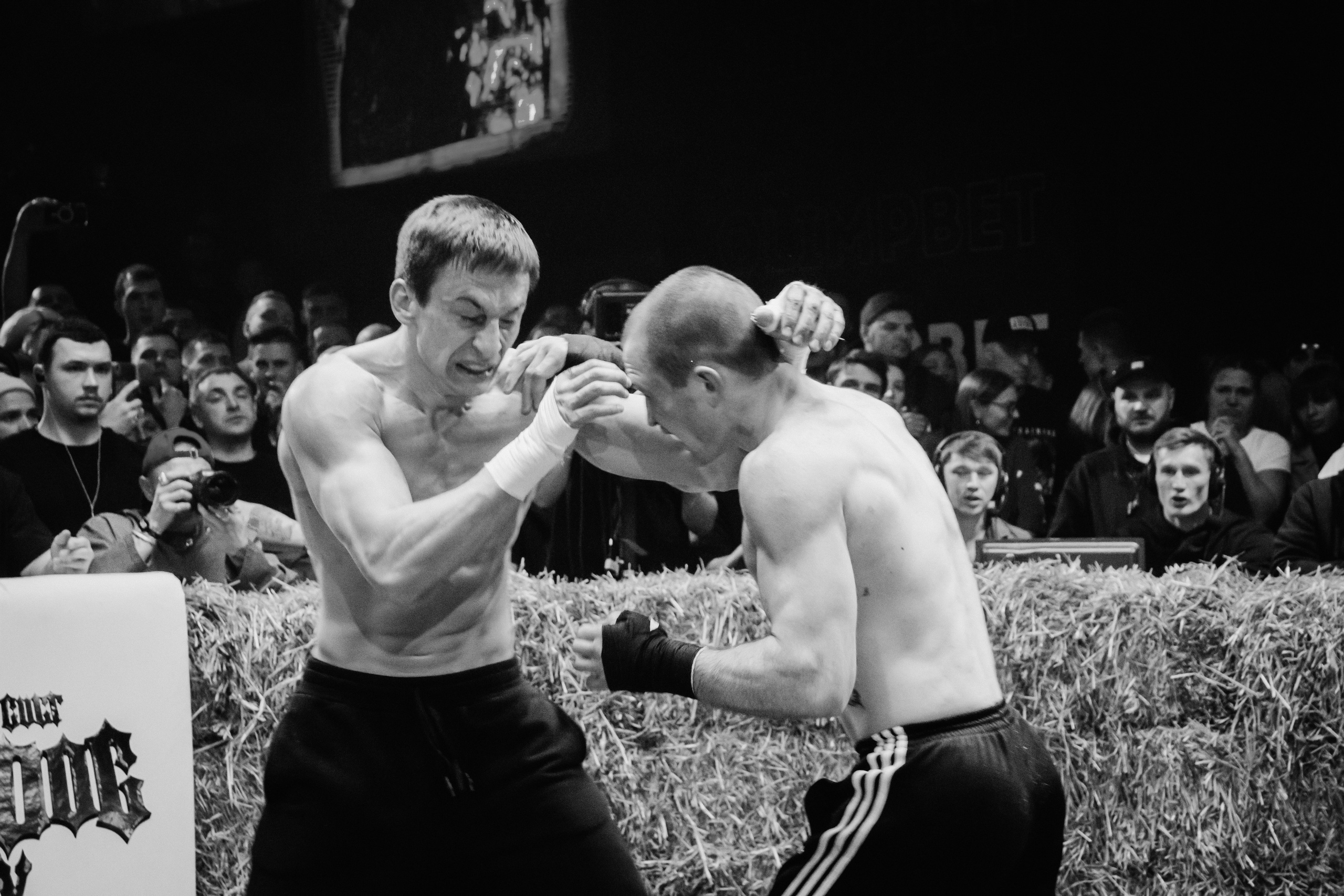 Кулачные бои TopDog. Анастасия Тен