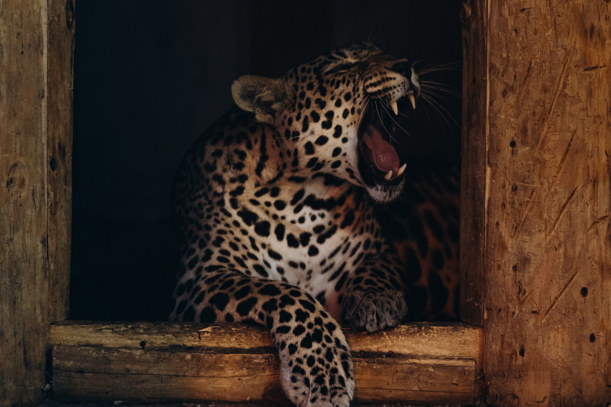 СЕВЕР. Event фотограф Степанова Александра