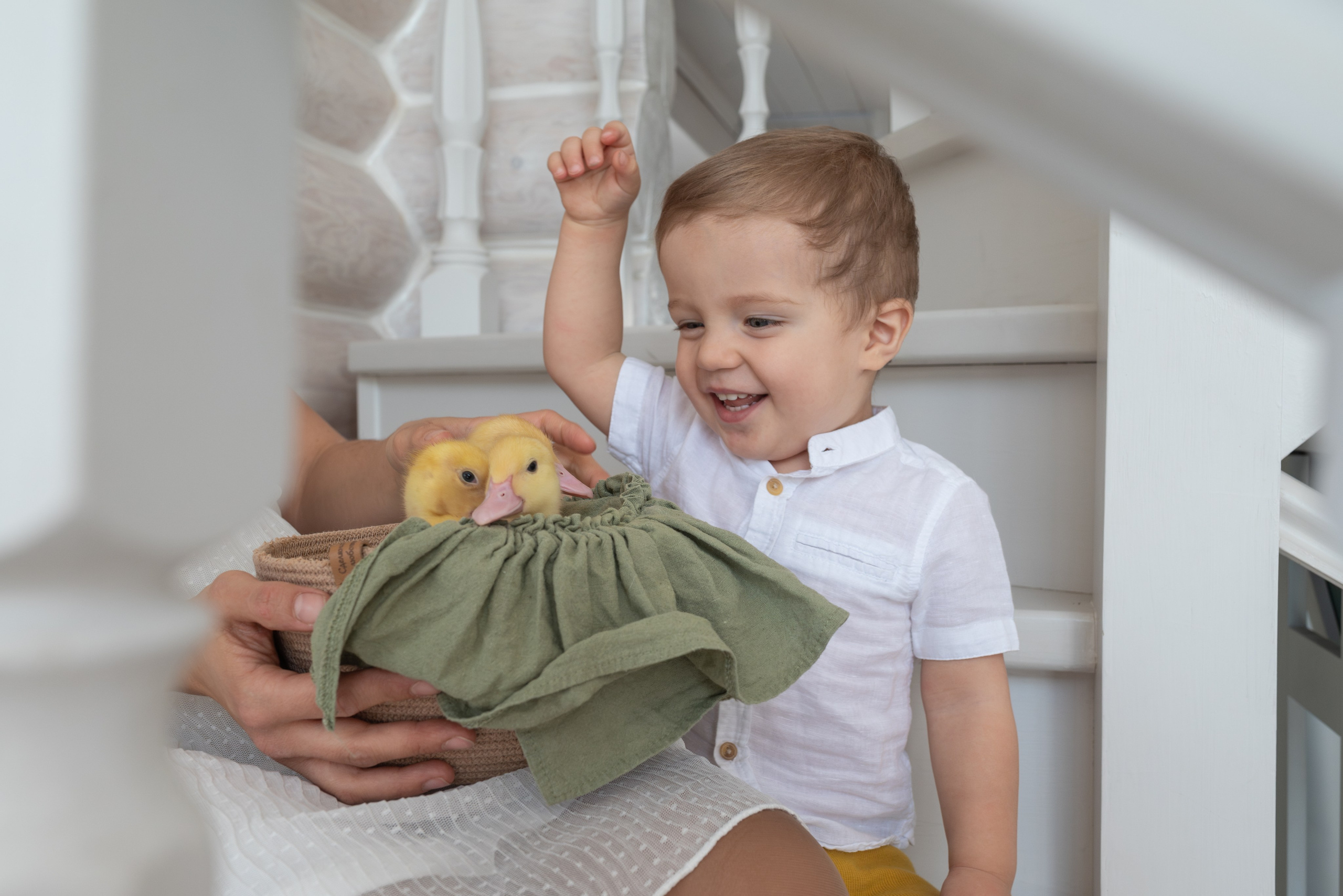 Пасха. Светлана Агалакова Фотограф