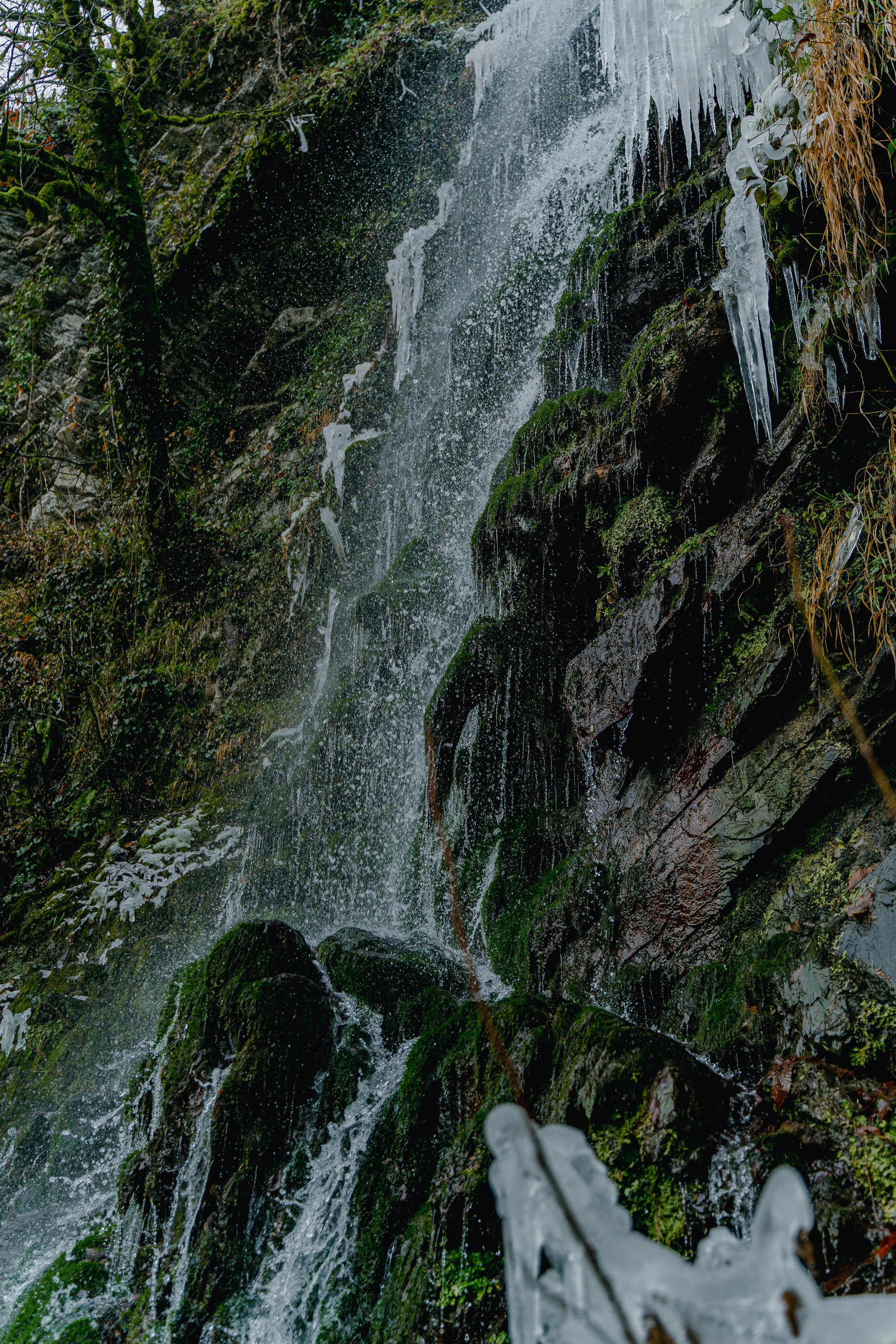 Фотографии Сочи, глазами гида-фотографа. Фотограф в Сочи Елена Лисотина. Фототуры в Сочи