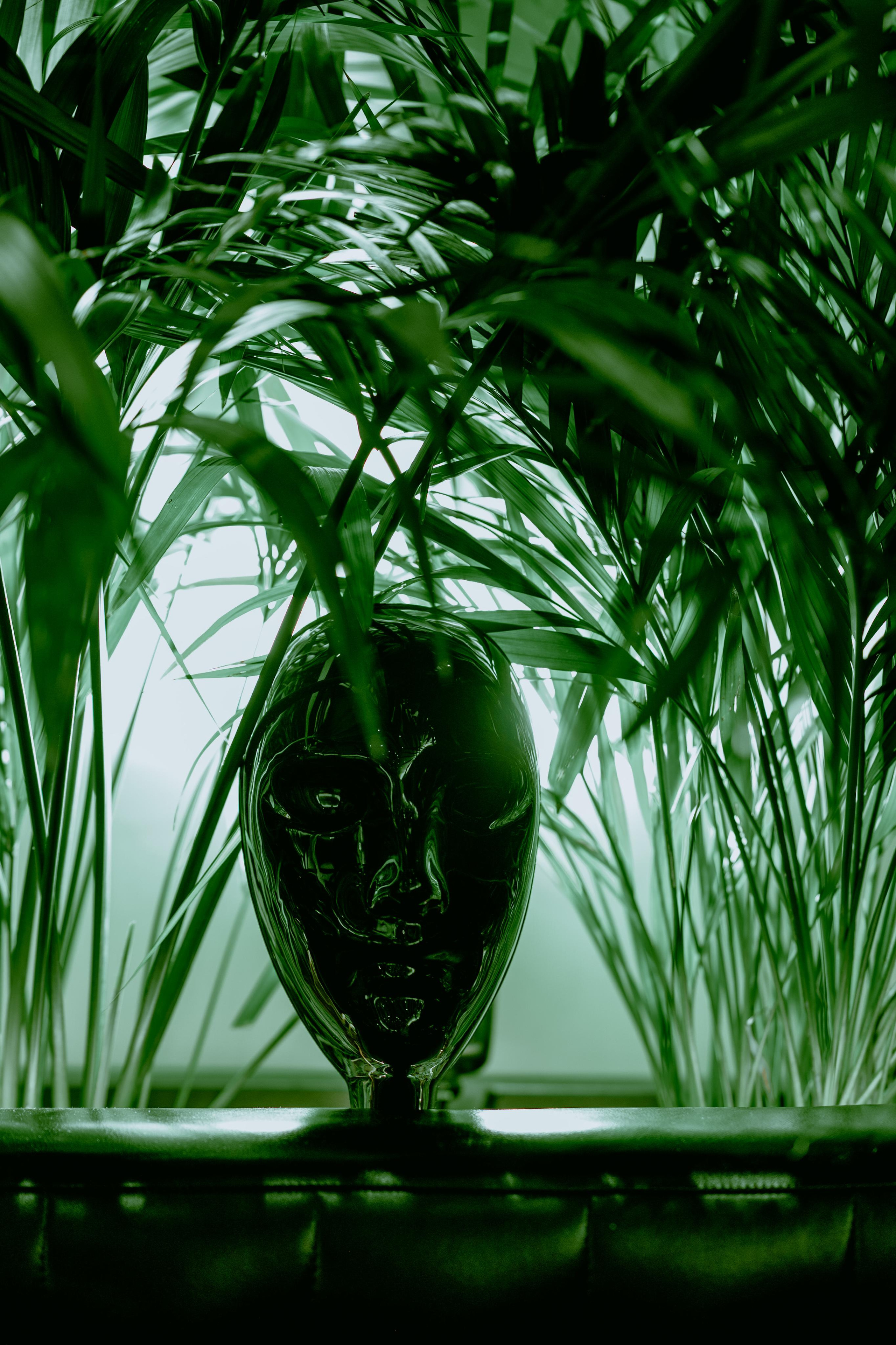 Репортаж для VB Intellectual Club CY. Фотограф Катерина. Кипр