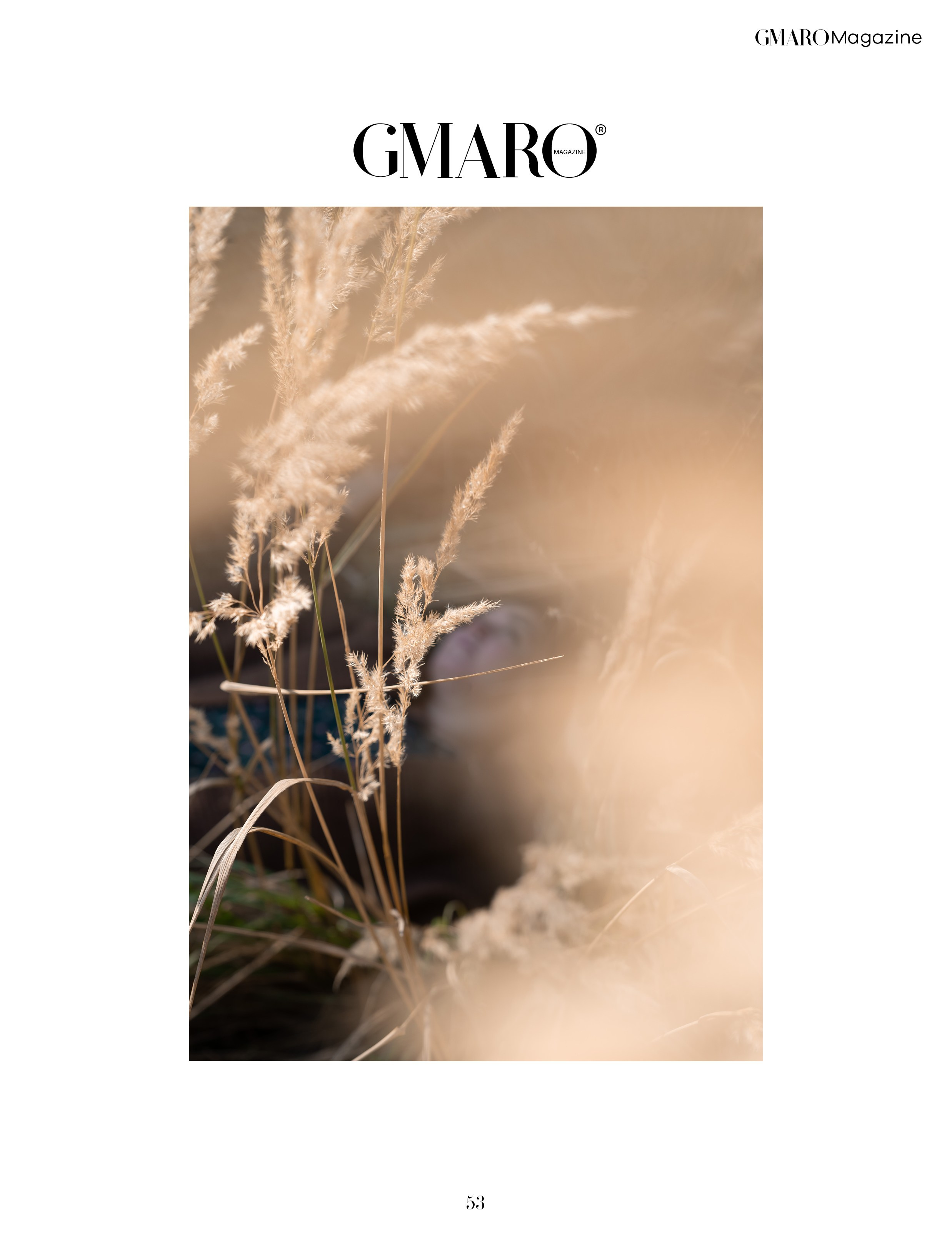 Публикации в журналах