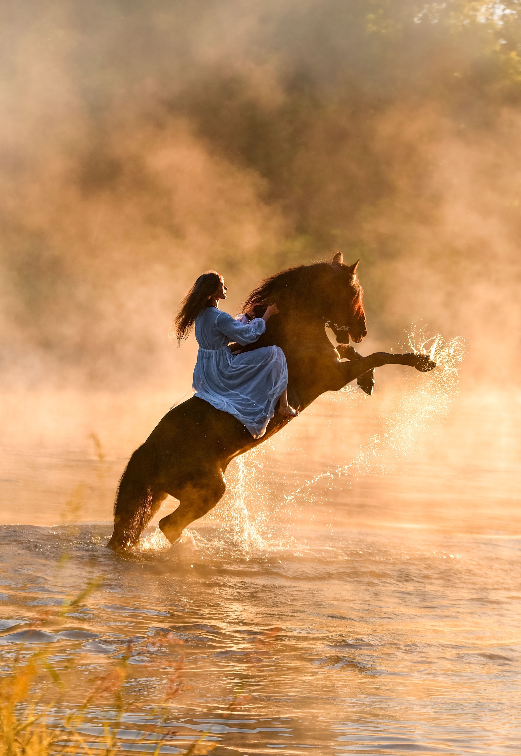 Съемки с лошадьми. Конный фотограф из Москвы Ирина Бондаркова