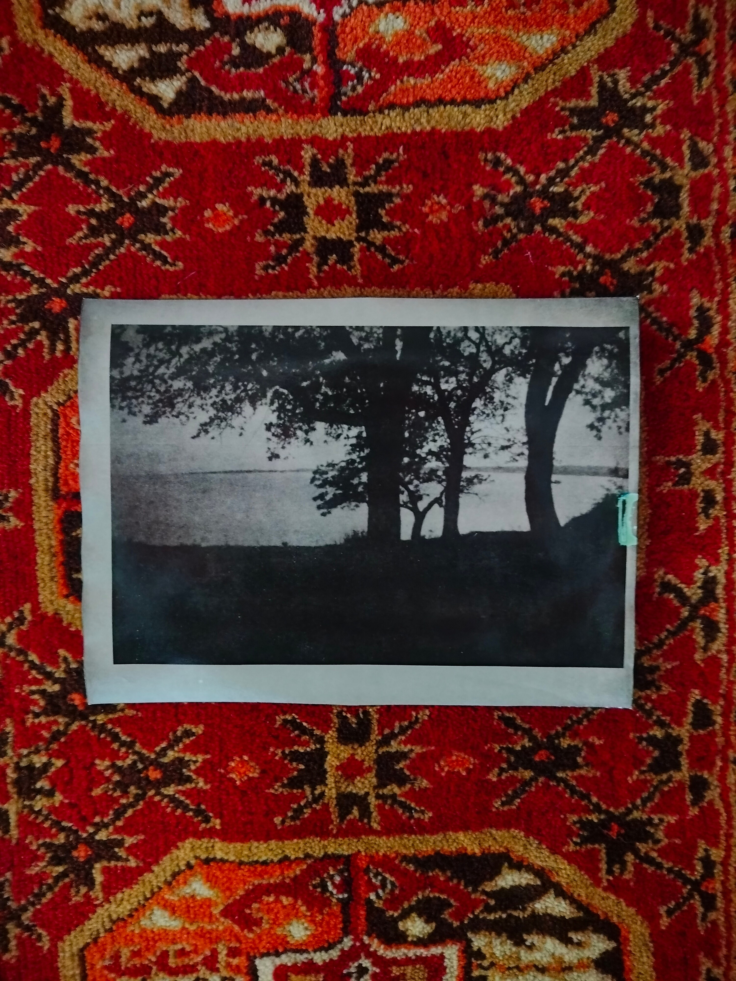 Фото-альтернатива. Данил Андреев, мультидисциплинарный художник, Санкт-Петербург