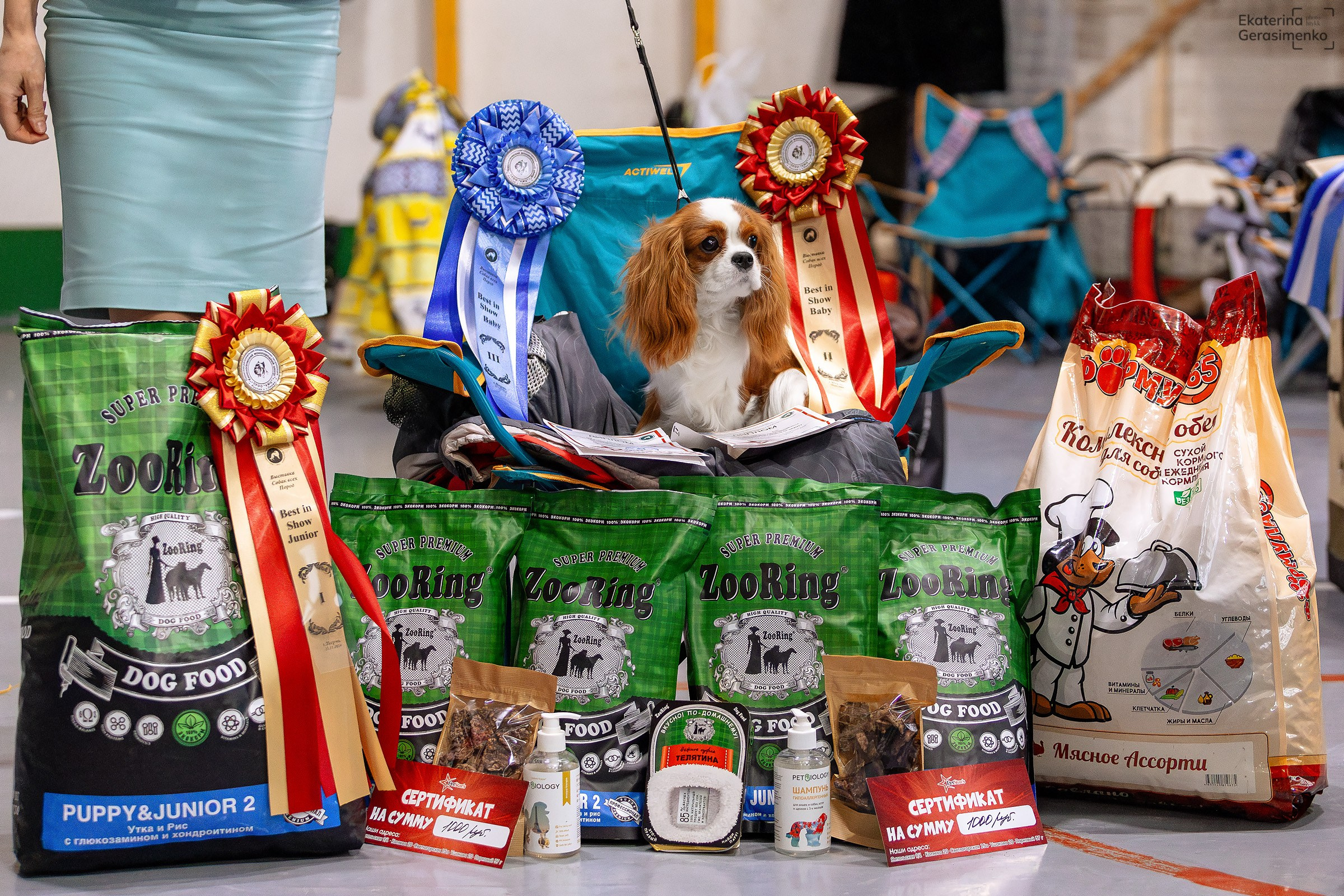 23 ноября 2024, Выставка РКФ, г. Пермь. Htykk_photo