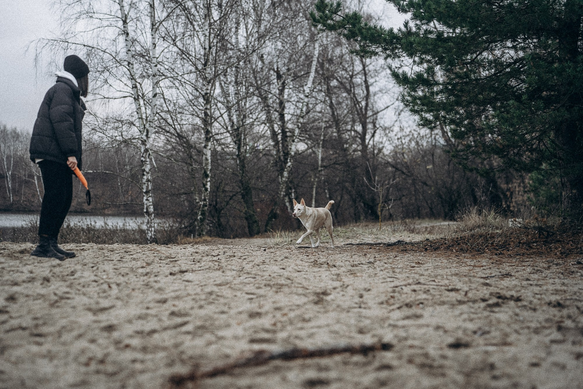 Туся. Фотограф анималист в Москве и Санкт-Петербурге Свиридова Анна