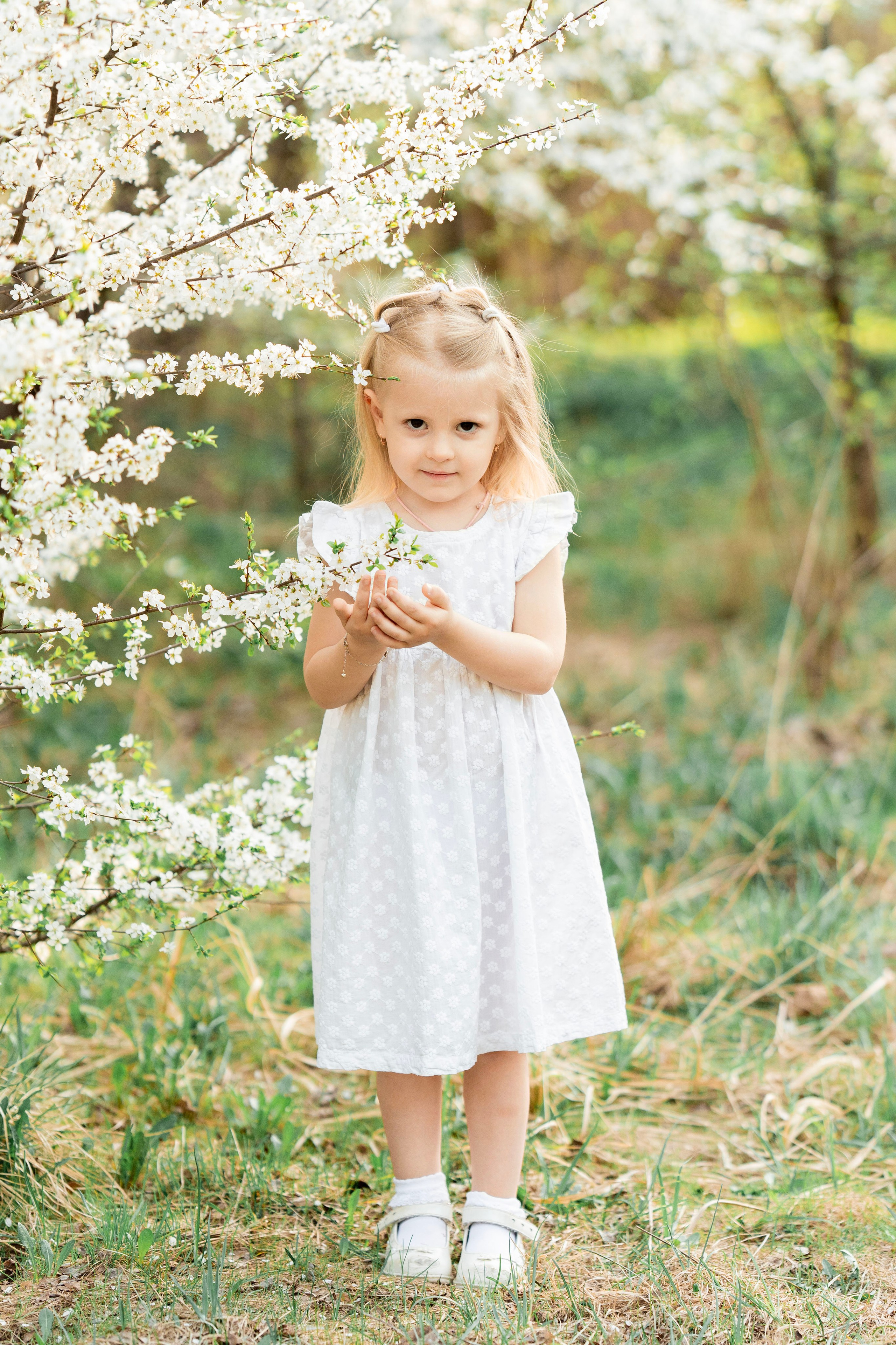 Цветение. Фотограф Юлия Попова