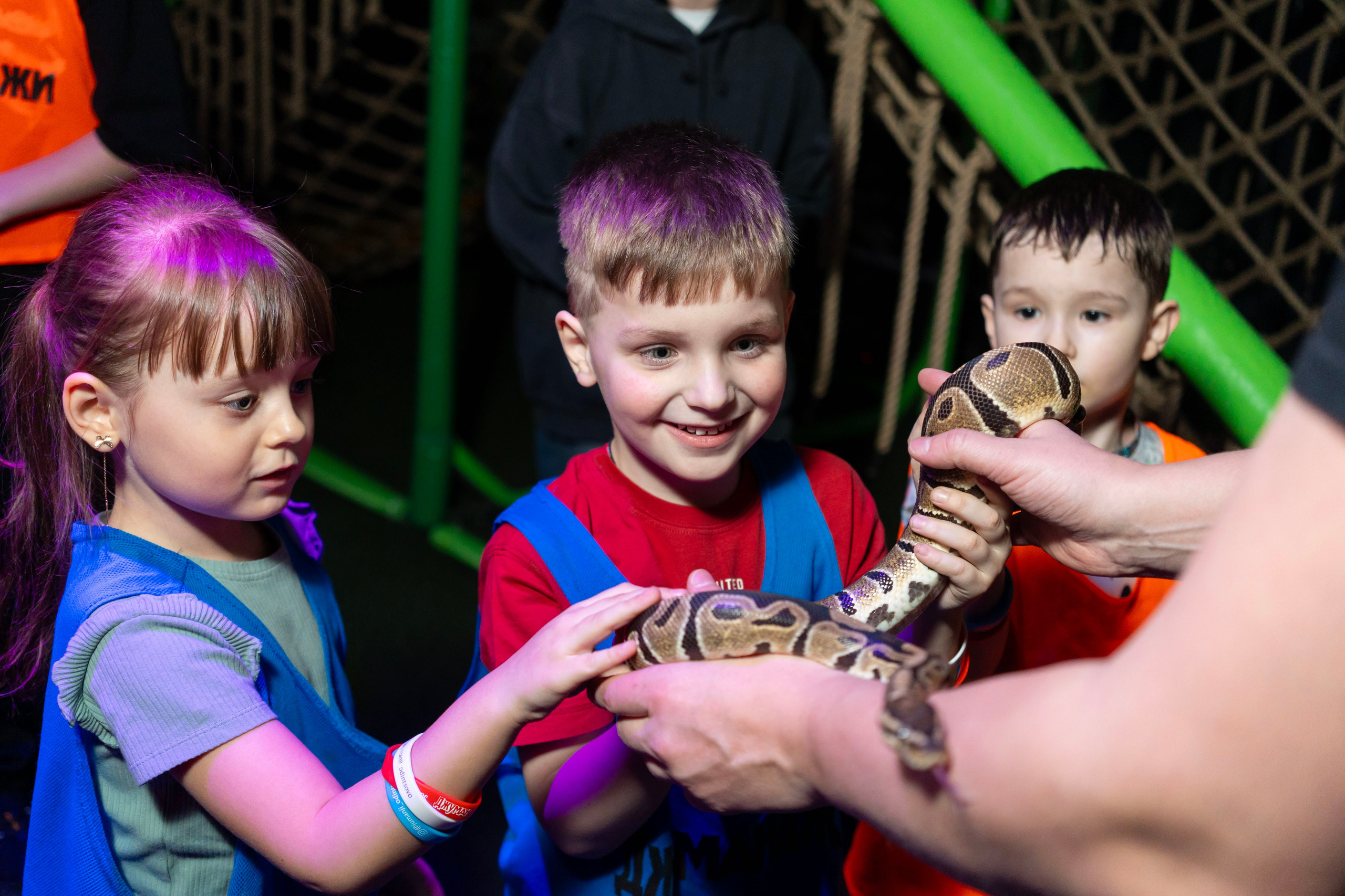 Квесты. Фотограф Юлия Попова