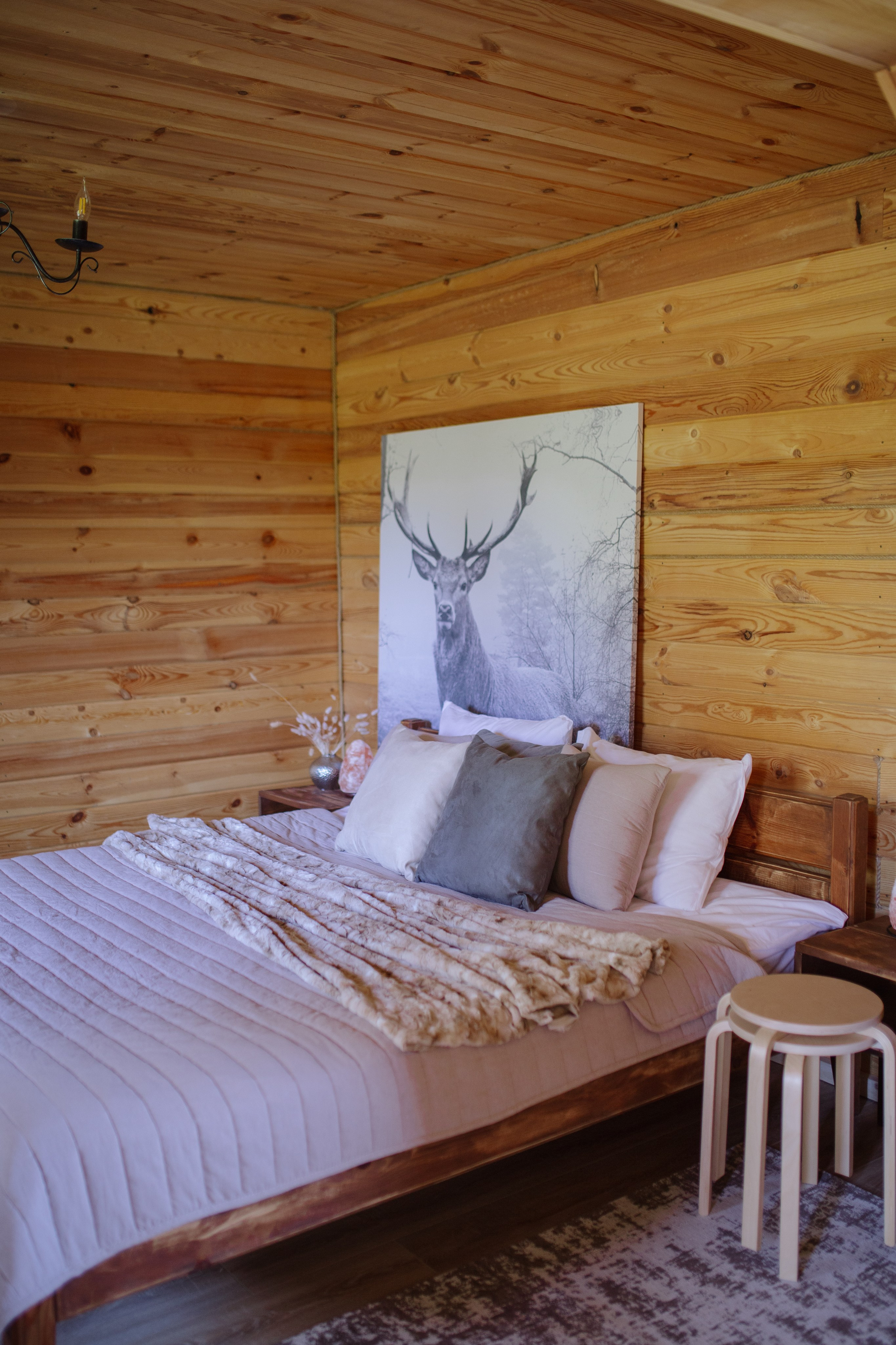 Контент для отелей. Фотограф Горный Алтай