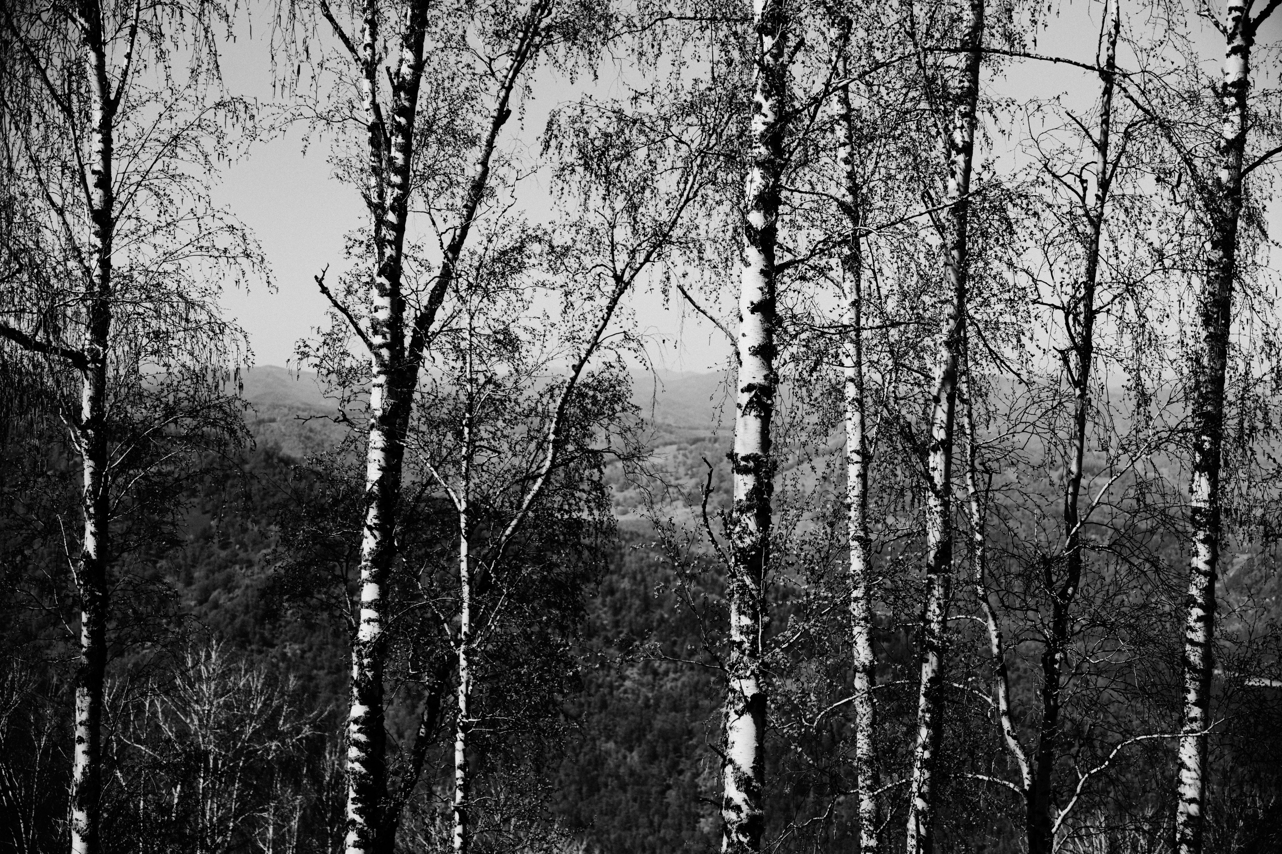 BAON x ALTAY. Фотограф Сурков Никита