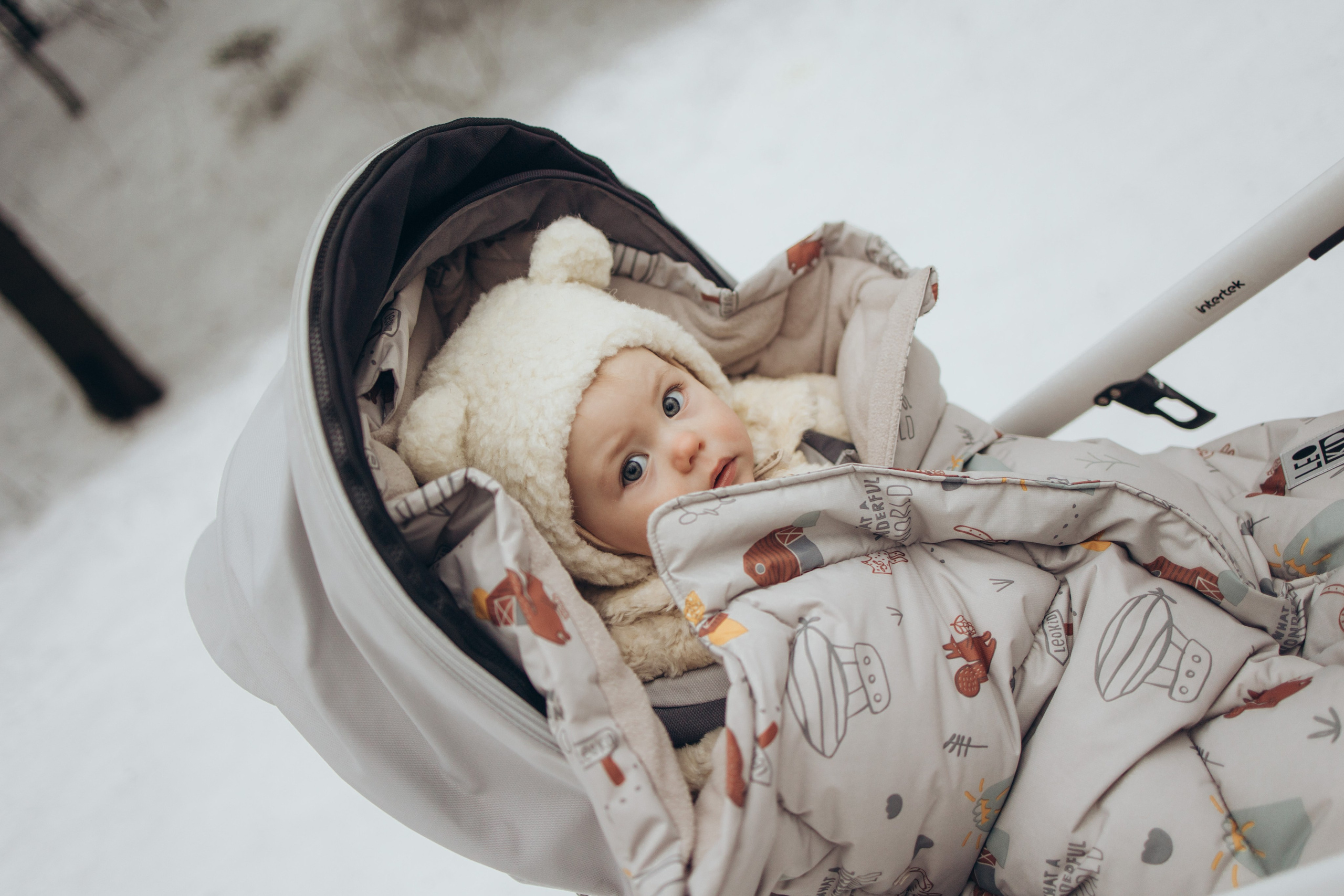 Снежный лес. Семейный фотограф в Москве Виктория Ястребинская