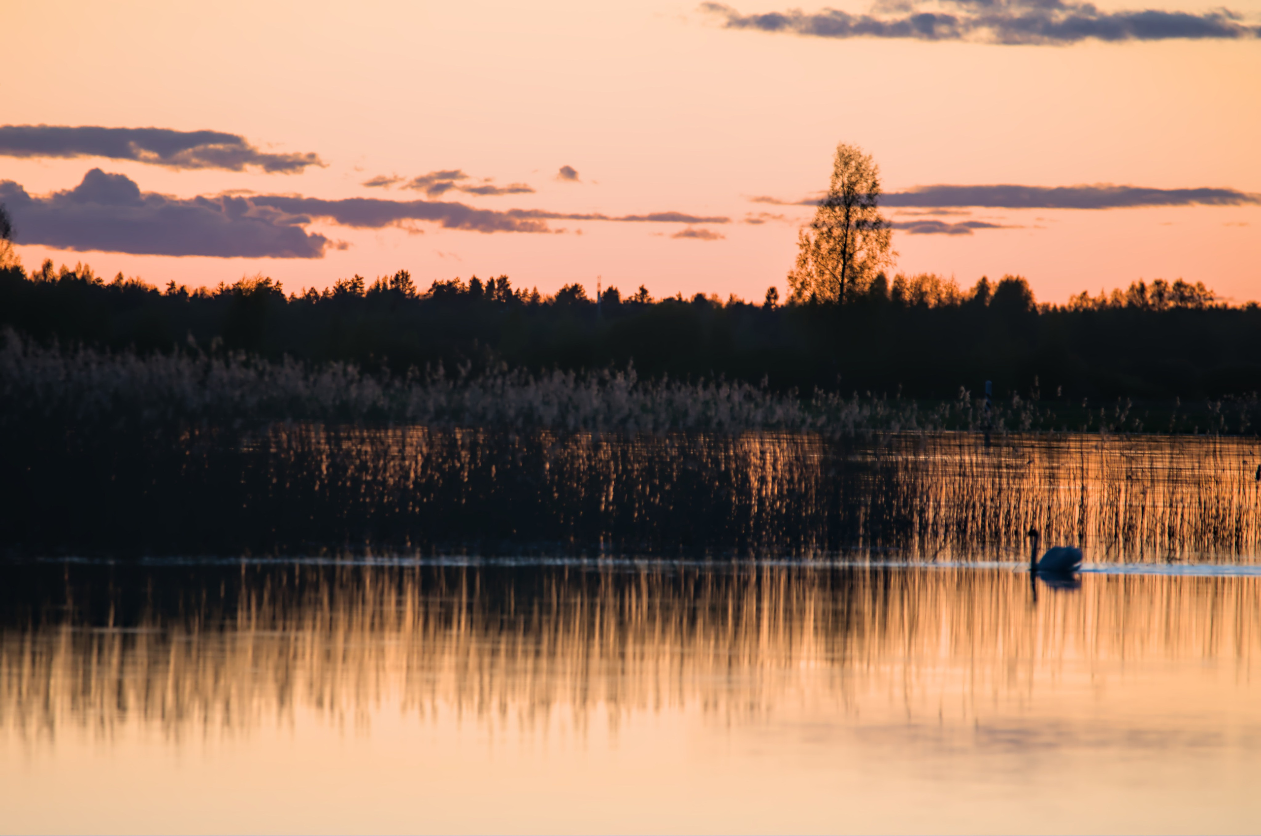 Природа. Фото детских спортивных мероприятий и всякое интересное через объектив