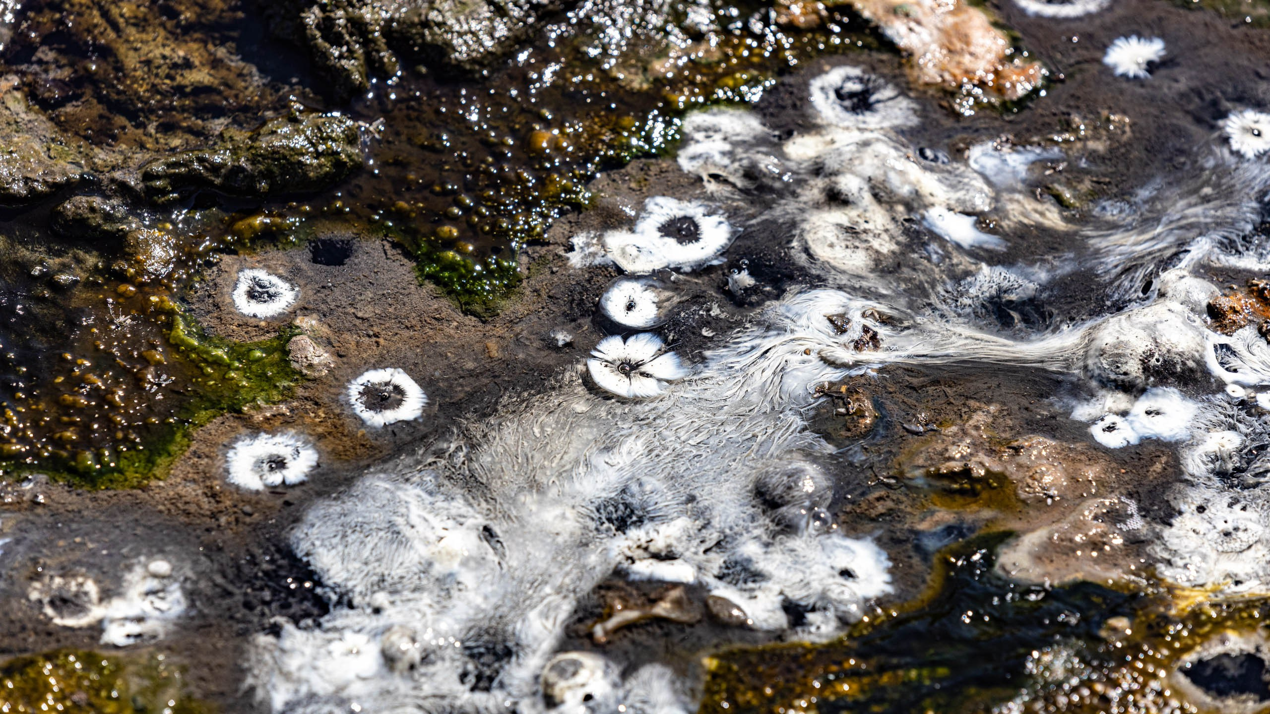 2023 07 Камчатка. Фотографии