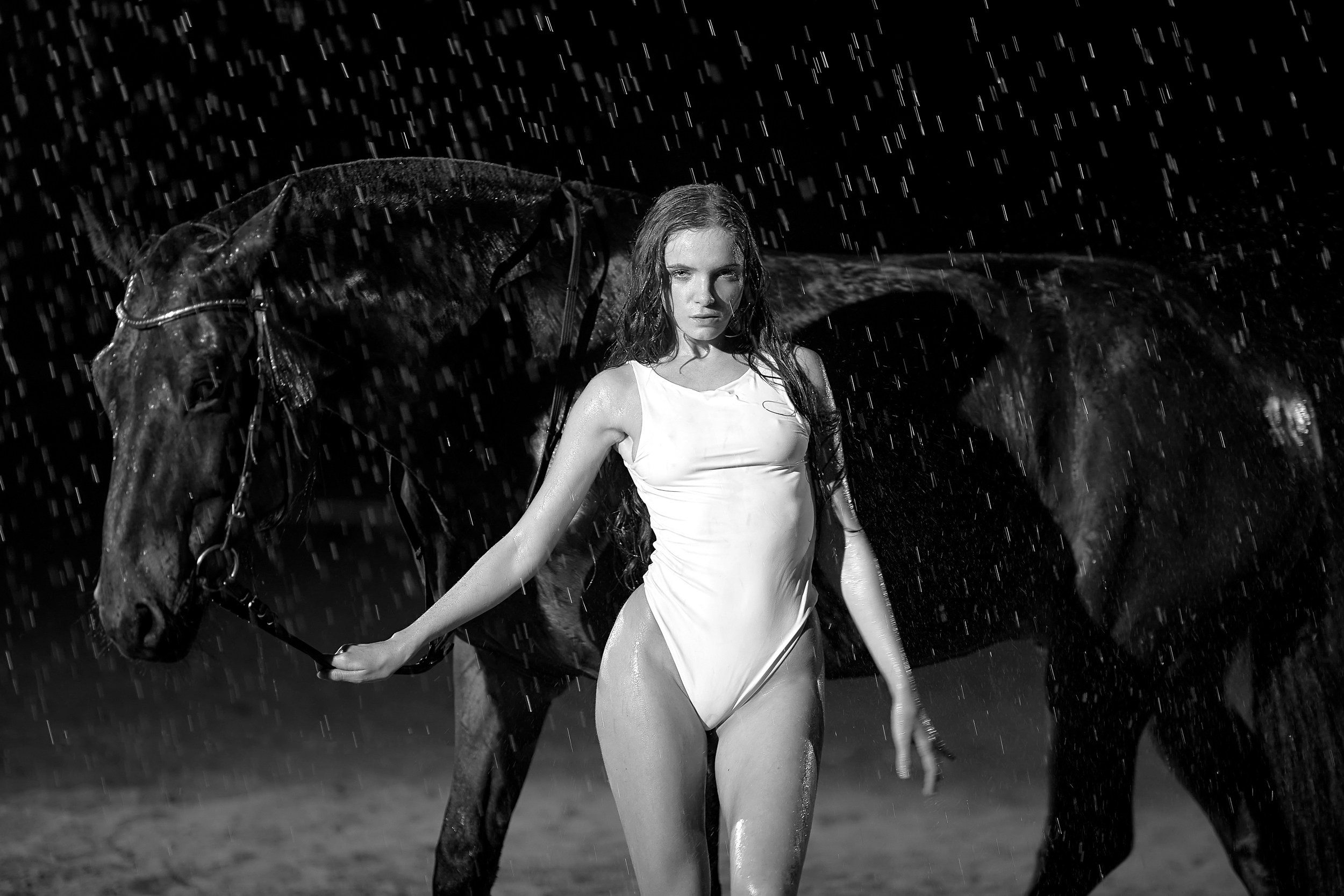 Фотосессия с лошадьми, Фотограф Михаил Семенов г. Ярославль