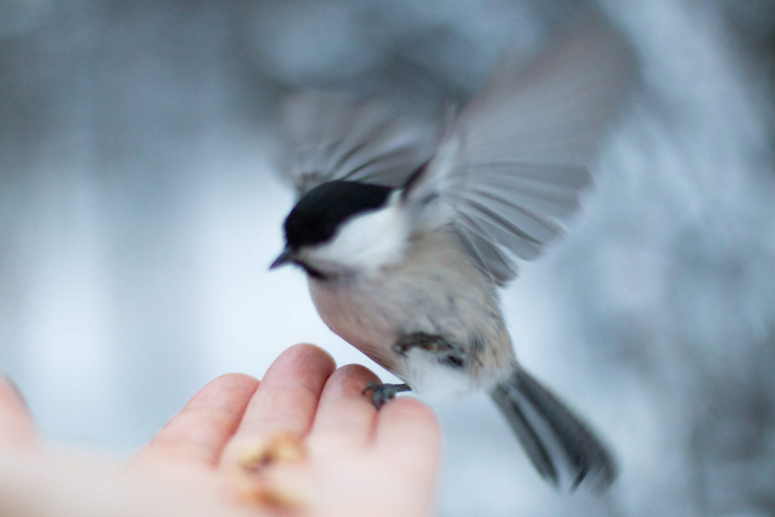 Русский север, Белое море, Архангельск. Фотограф в Сочи