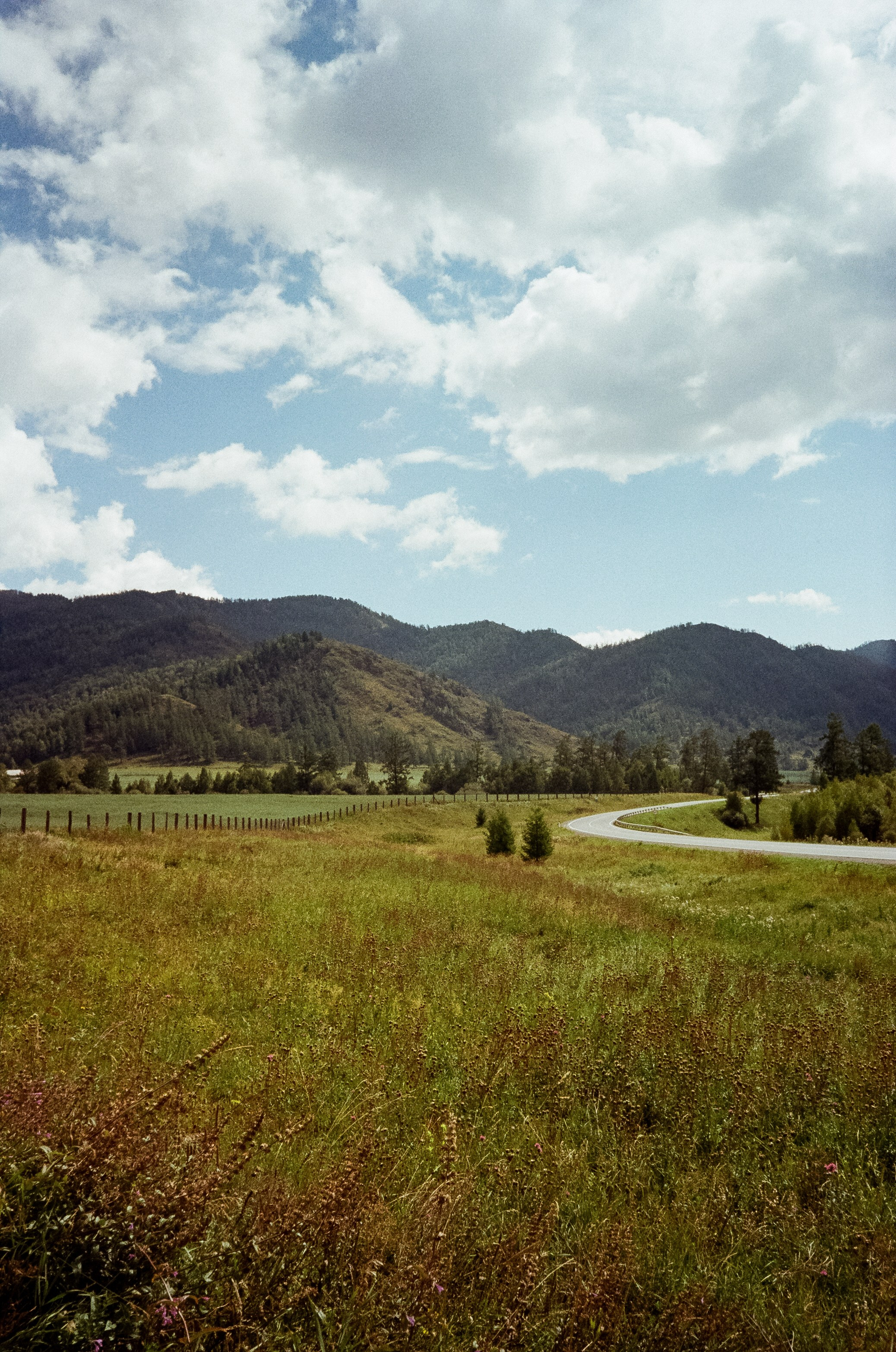 Дорога на Семинский перевал. Фотограф-документалист Мария Осокина