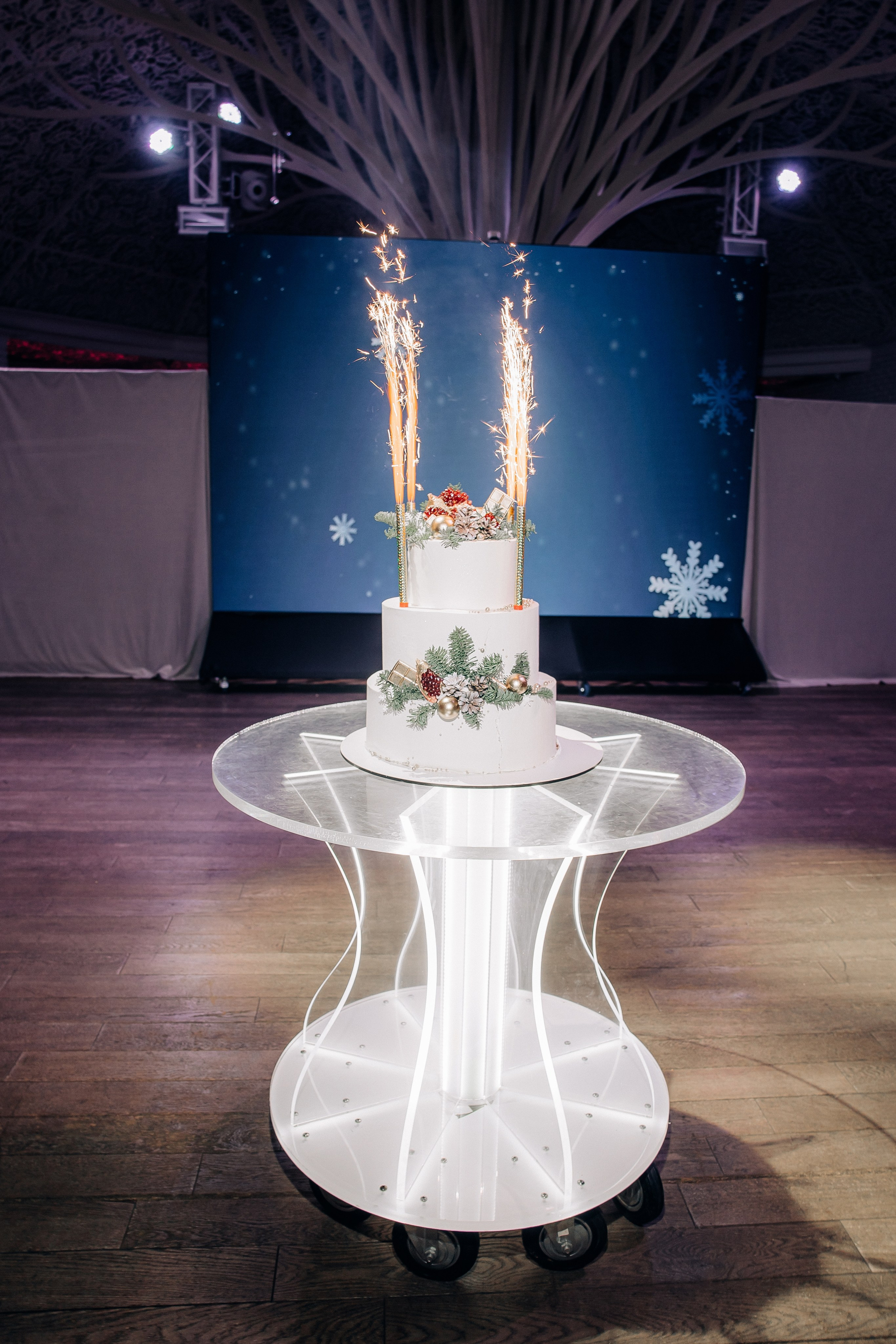 Корпоративы декабря. Свадебный и семейный фотограф в Воронеже Свиридова Евгения