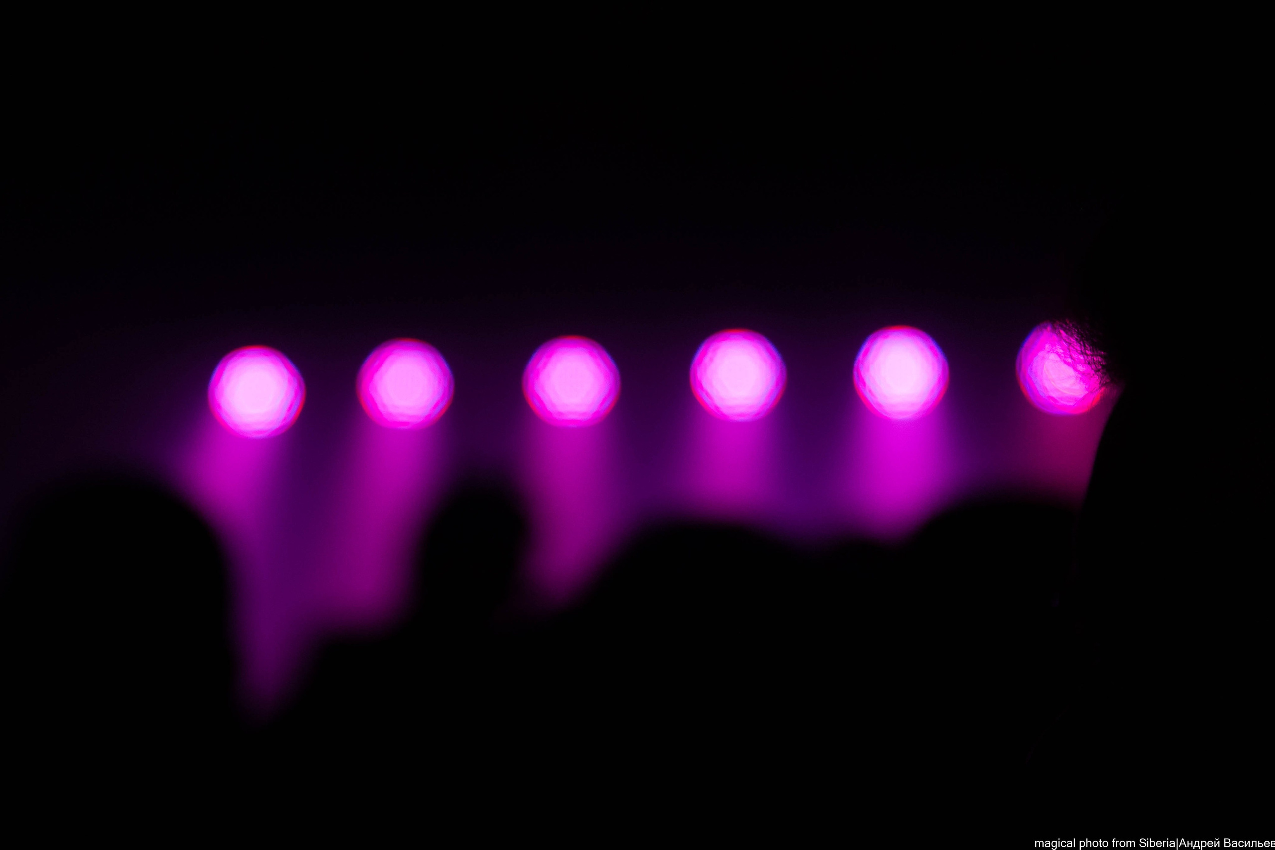 Playingtheangel. _Carpe diem_