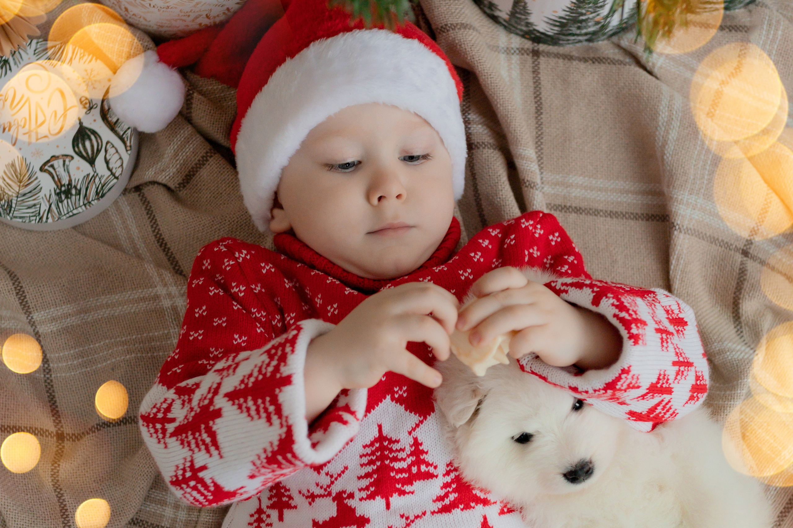 Новогодние съёмки. Интерьерная фотостудия в г. Барнаул