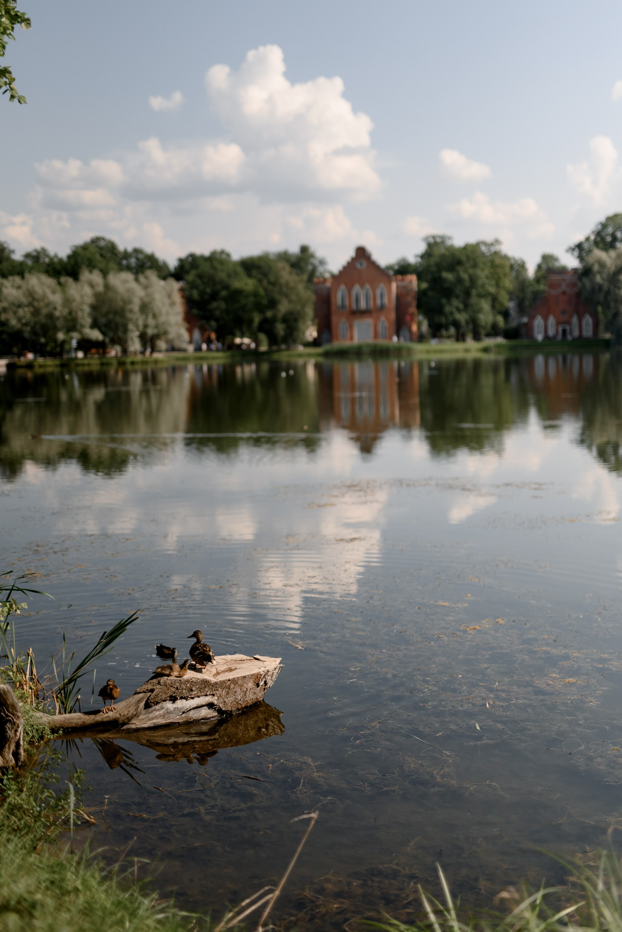 Wedding Day. Свадебный фотограф в Минске Минчукова Анна
