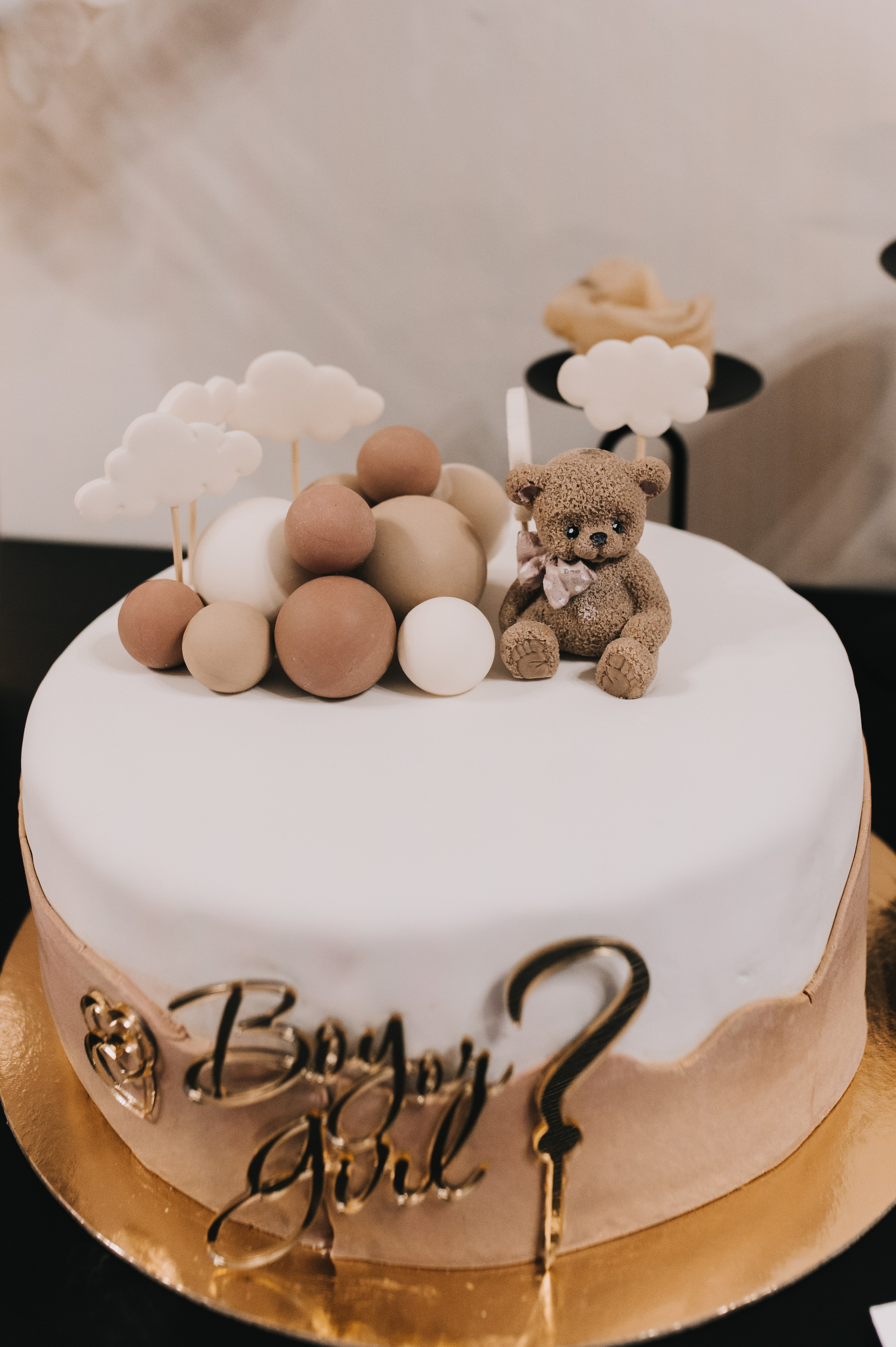 Гендер пати. Алена Братчук репортажный фотограф