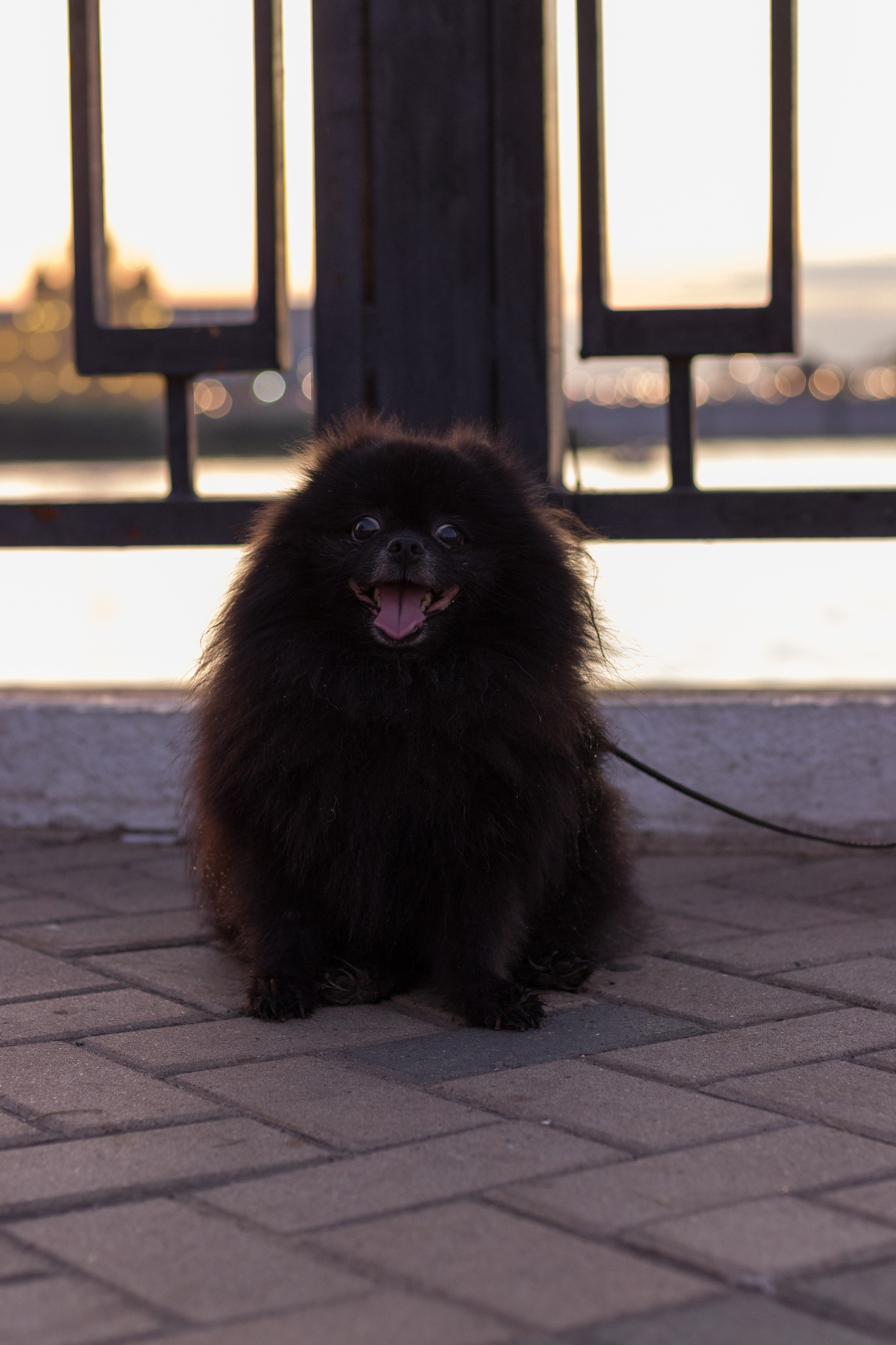 Стрит фотография. Дмитрий Рябов — фотограф