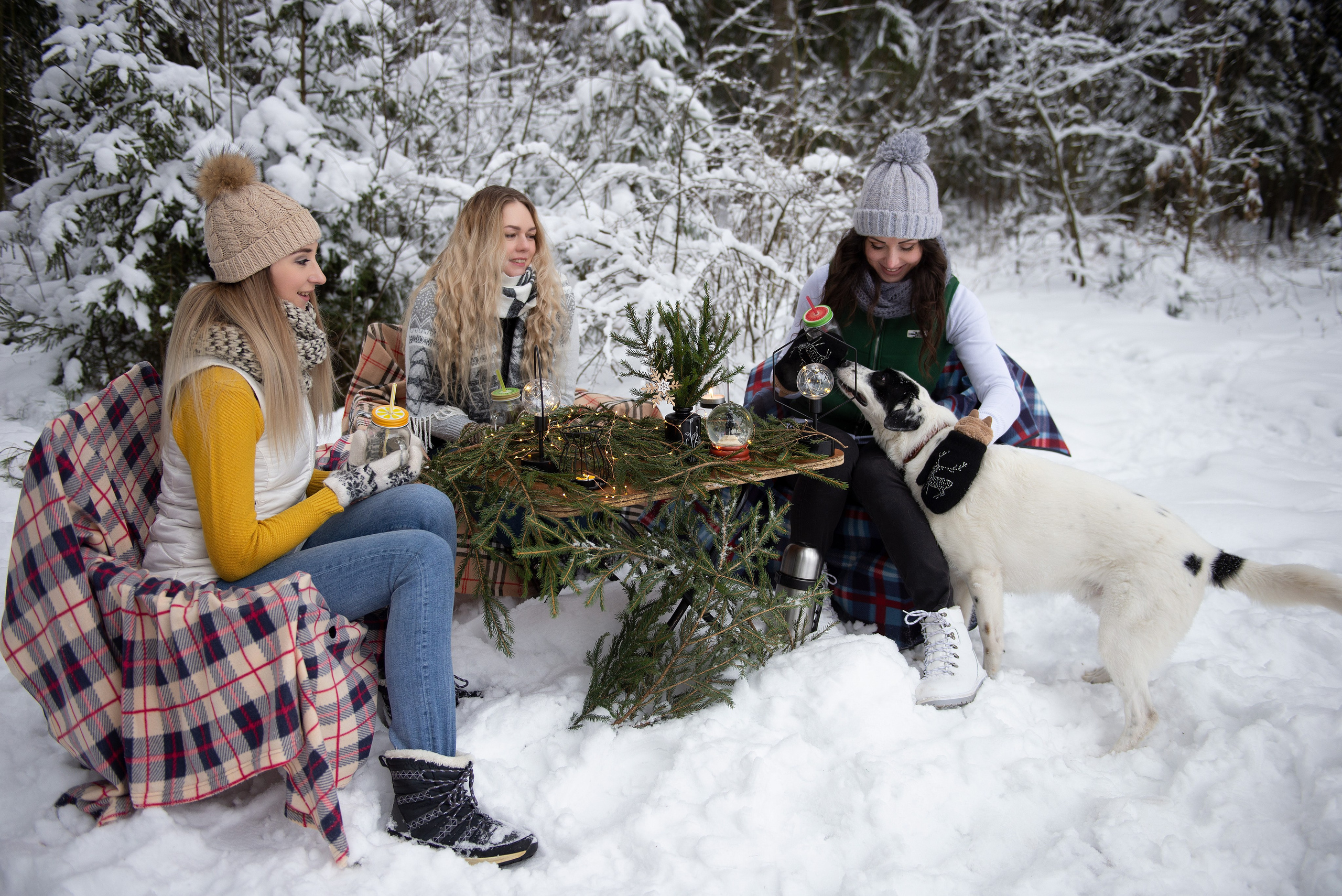Зимний лес прекрасен. Творческий фотограф Вологда