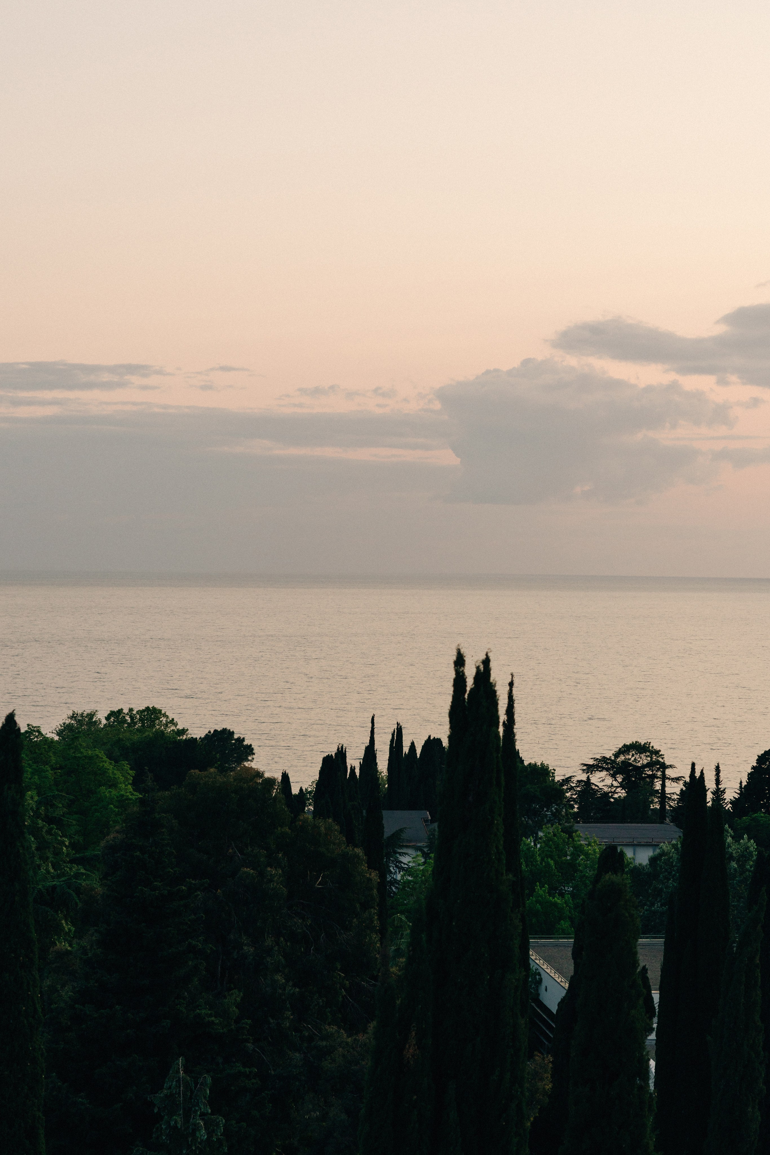 @fruits_family_wedding. Свадебный и репортажный фотограф в Москве Владимир Сергеев | Naysaikolo