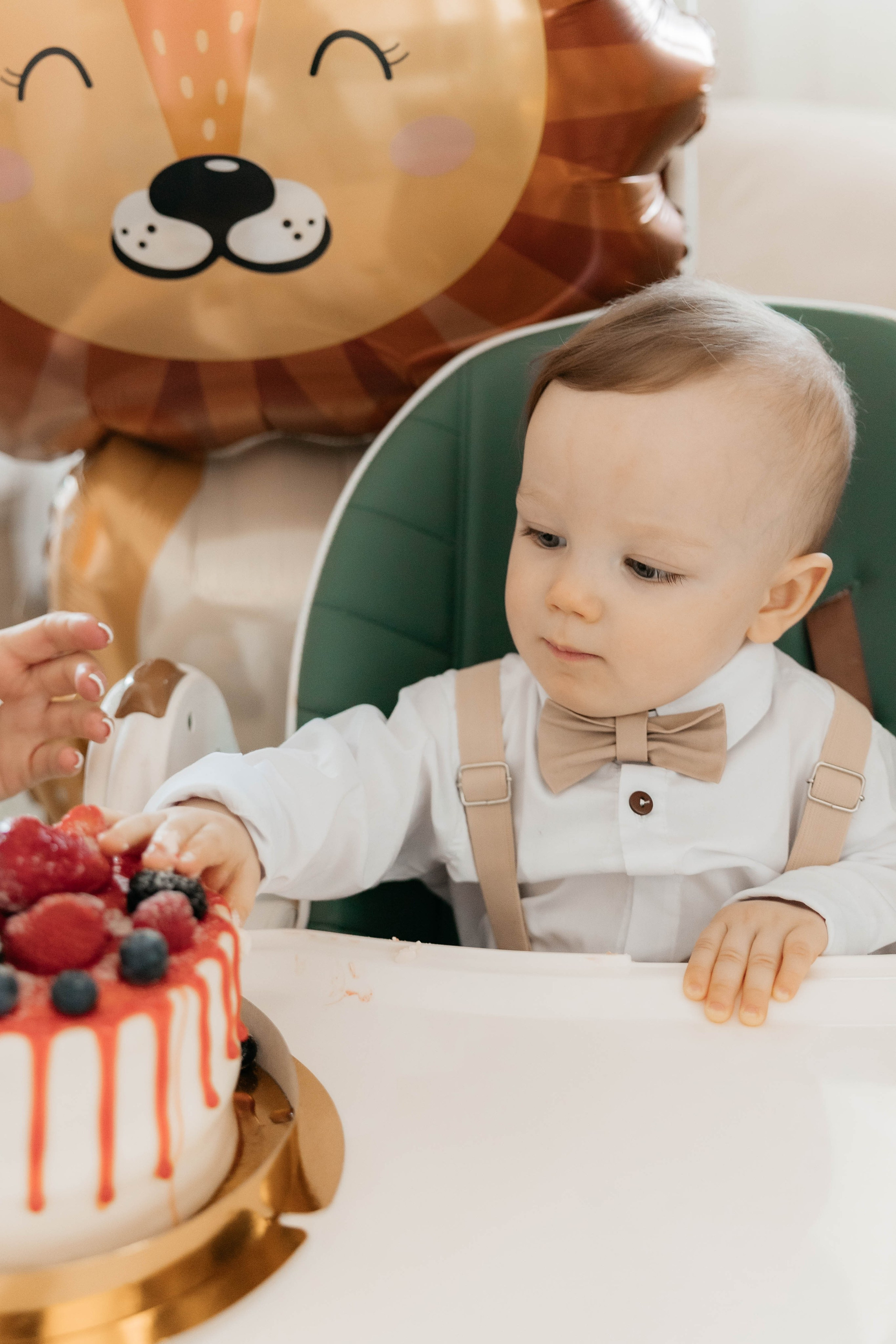 Лев. 2024 г. Персональный фотограф Катерина Литвинова