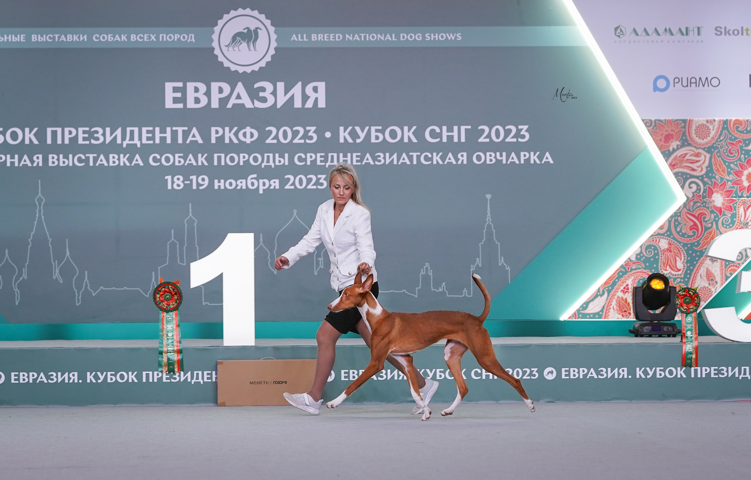 Выставки 2023. Фотограф-анималист в Санкт-Петербурге Яна Мартынова