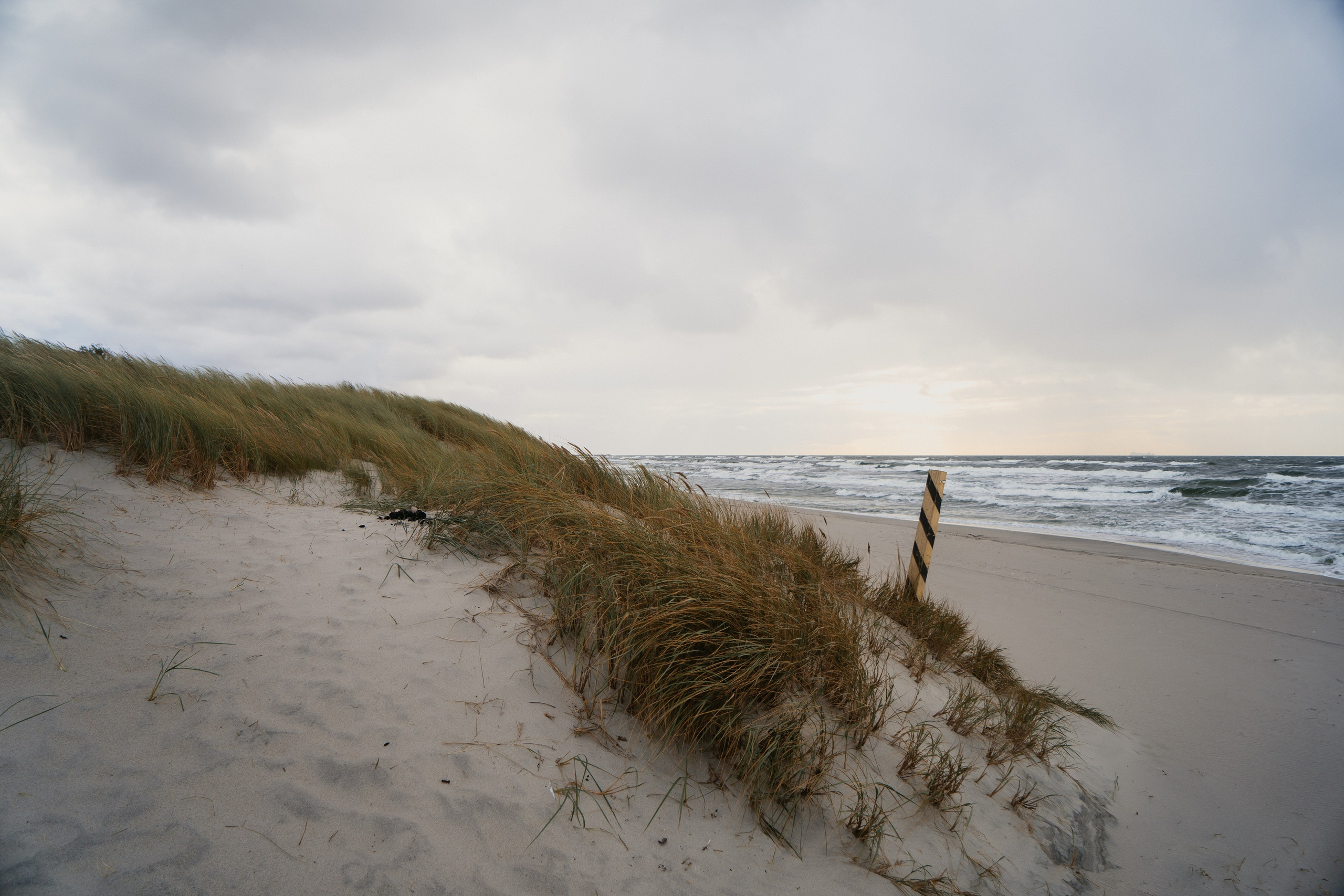 Балтийск/Калининград. Свадебный и семейный фотограф/видеограф в Краснодаре Наталья Осинская