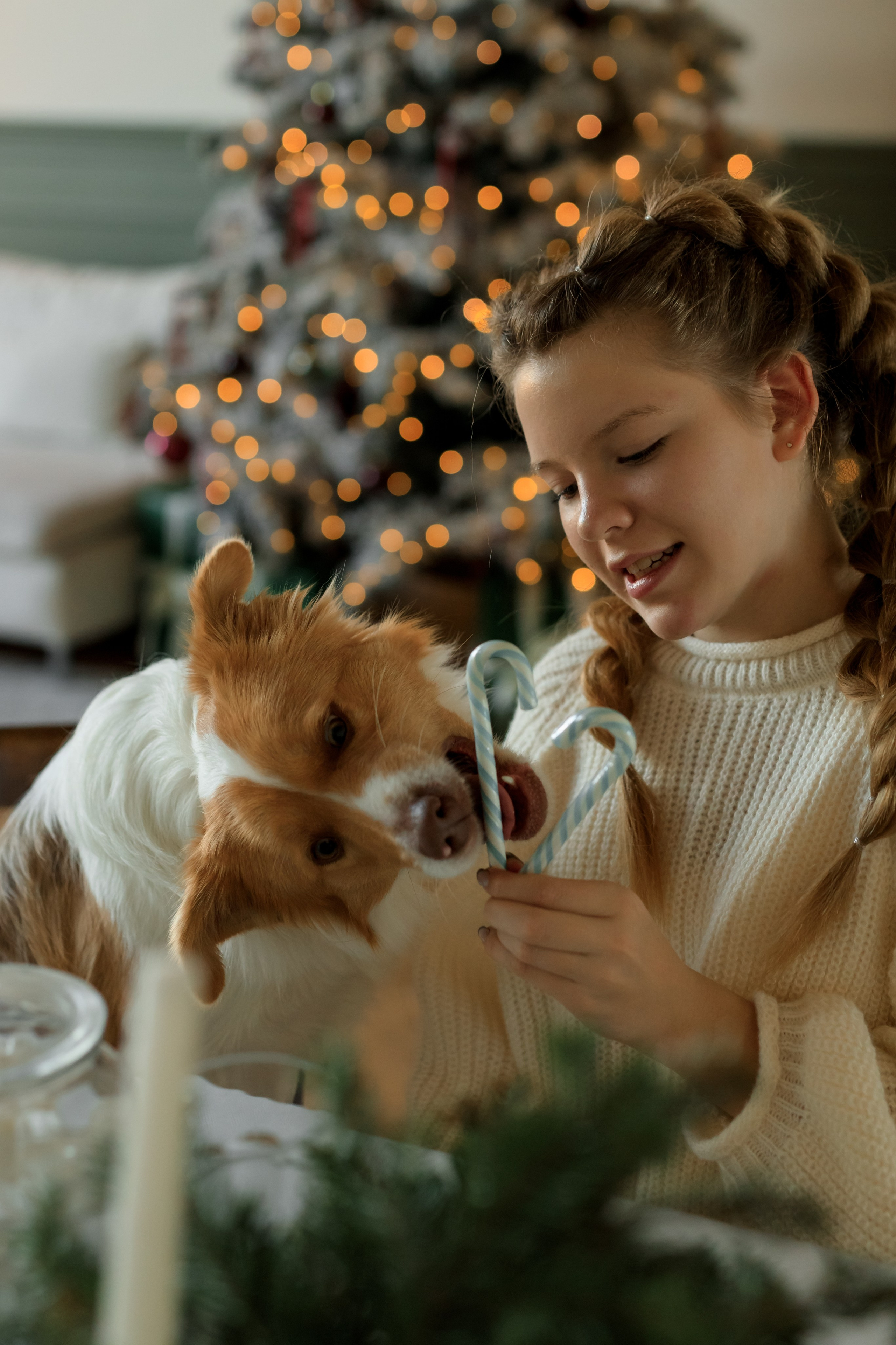 Девочка и собака (студийная). Семейный и детский фотограф в Краснодаре Элона Литвинова