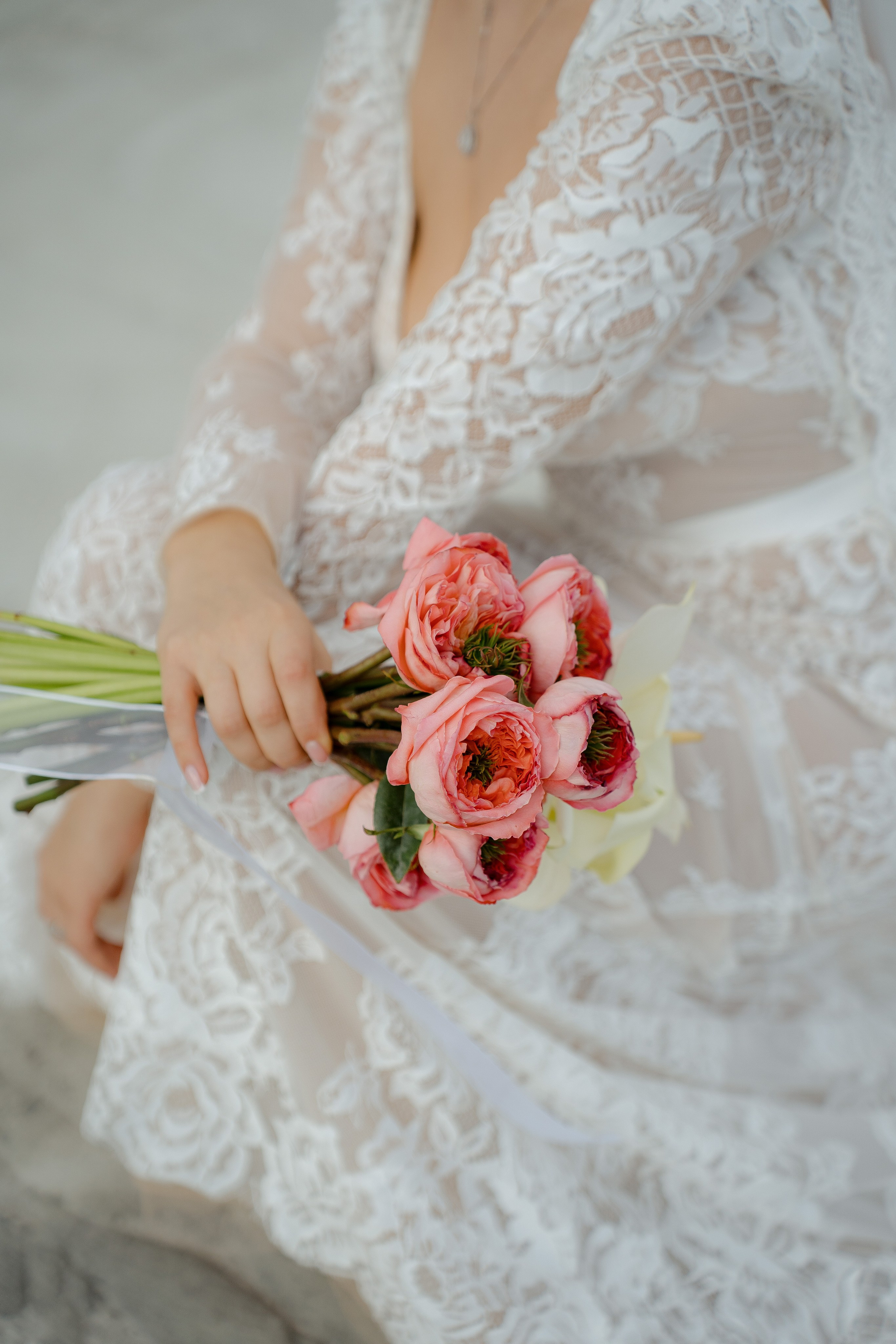 İrandek. Fotoğrafçı. İzmir