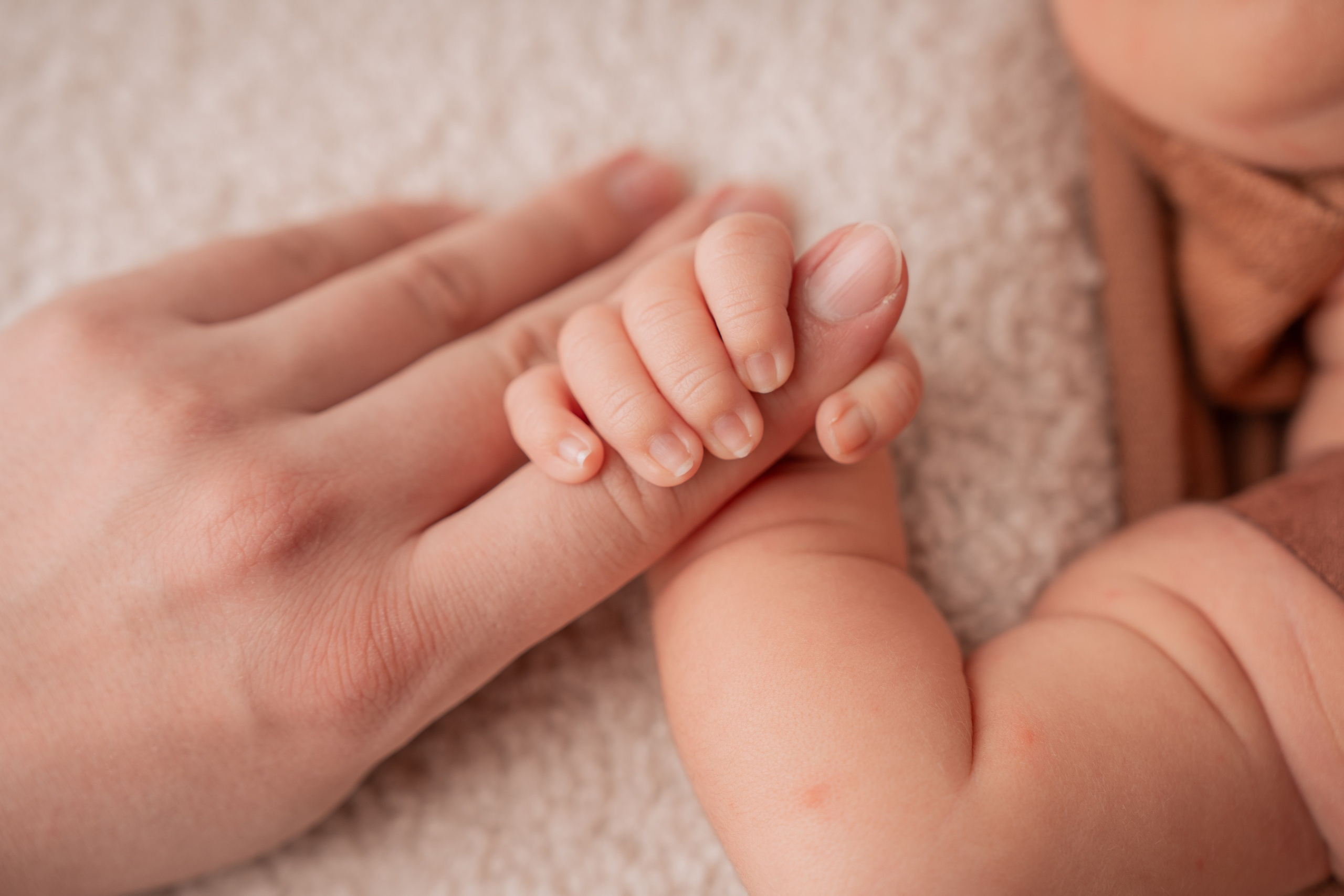 Newborn. Фотограф новорожденных в Москве, Зеленограде, МО, Дмитриева Дарья