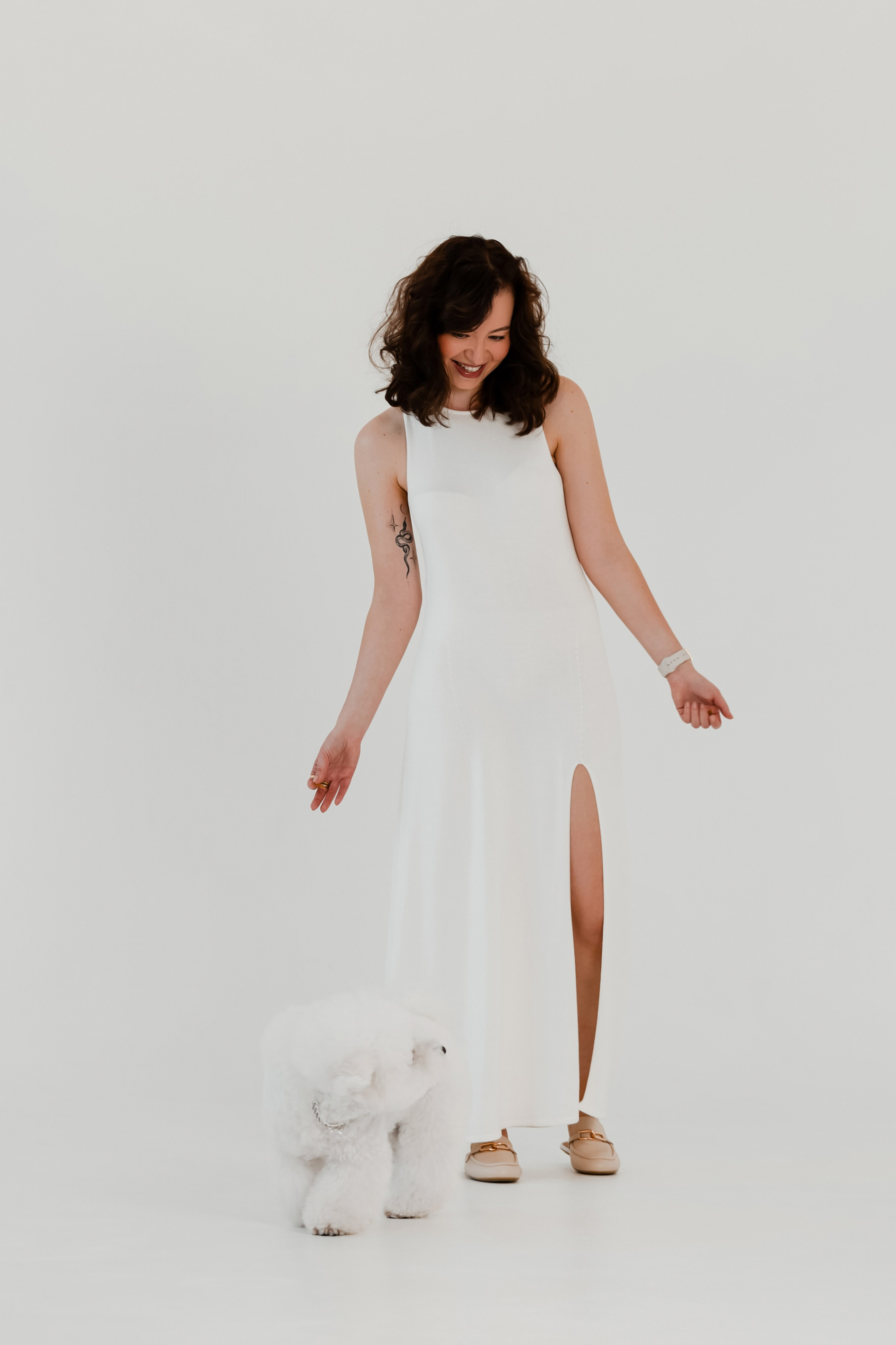 Бишон-фризе. Фотограф-анималист в Краснодаре Маша Мельникова