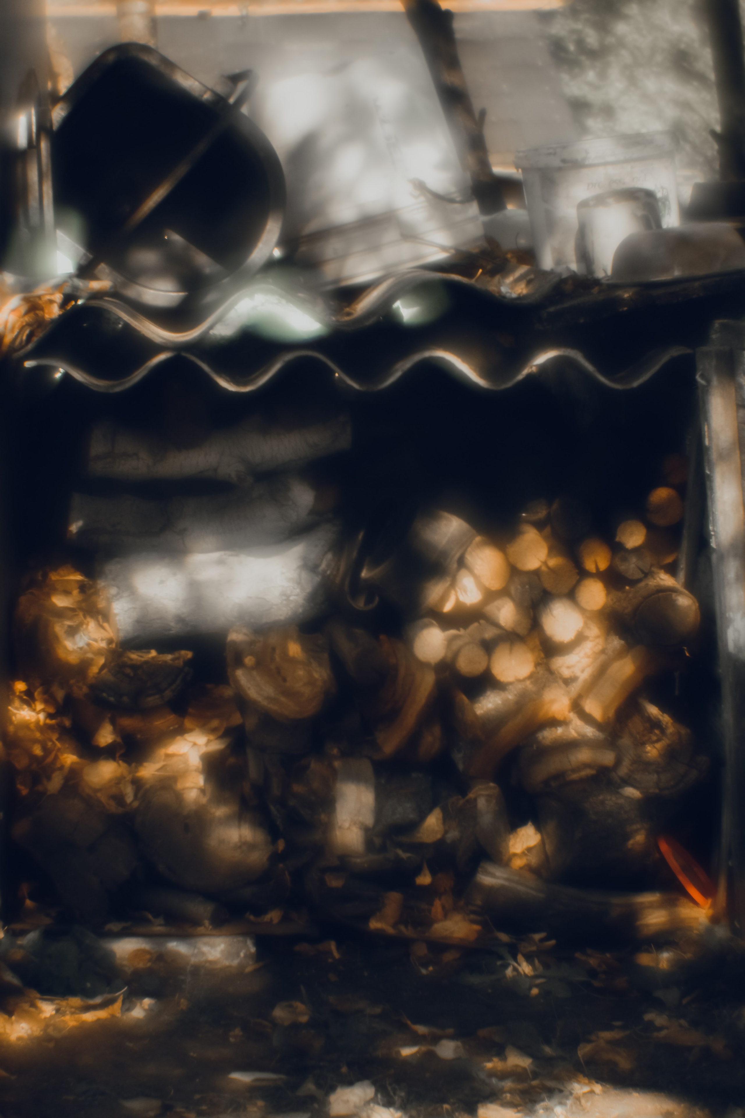 Поэзия повседневности. Семейный фотограф в Москве Марина Аргунова