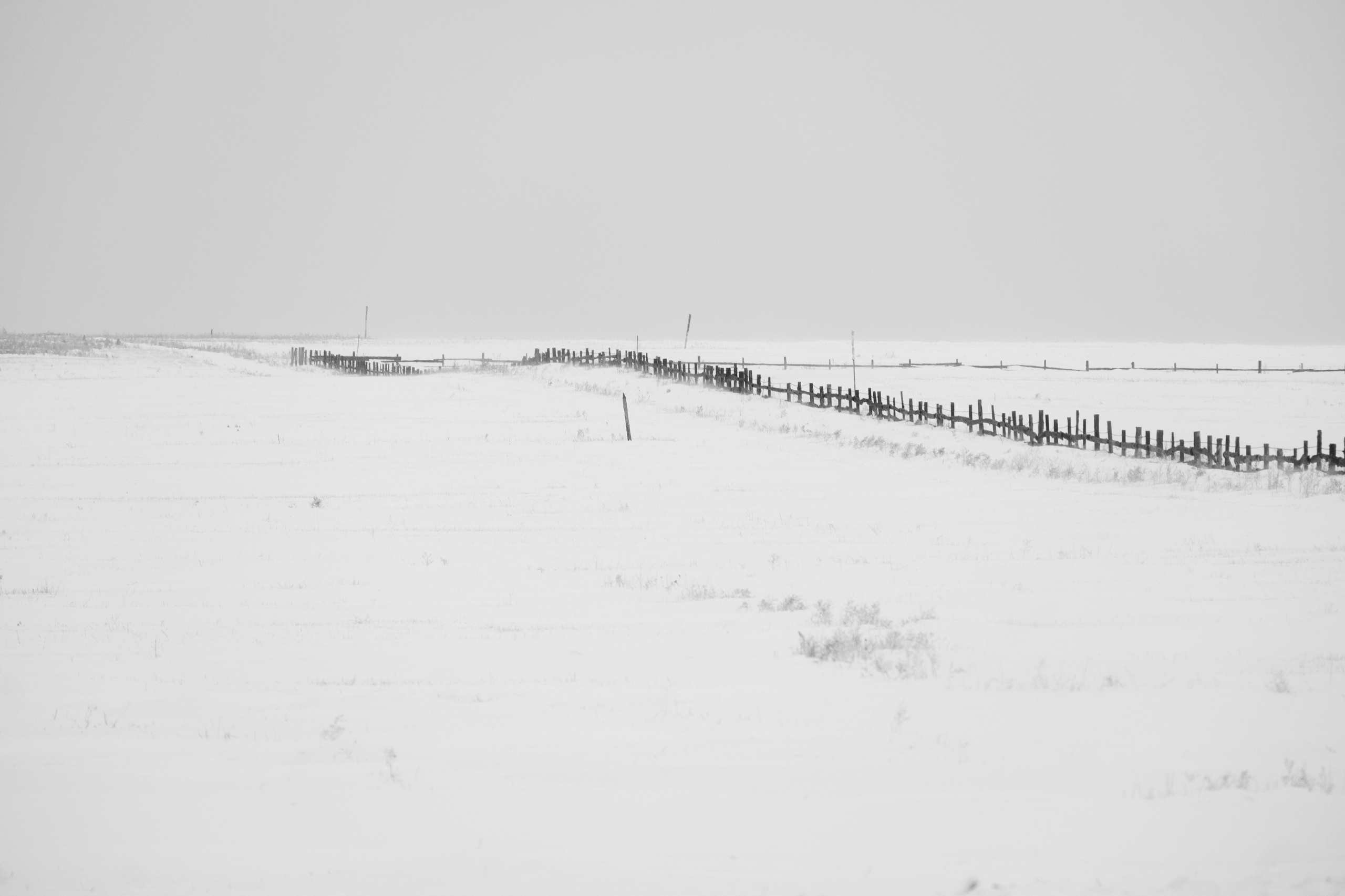 Silence. Irina Borodina