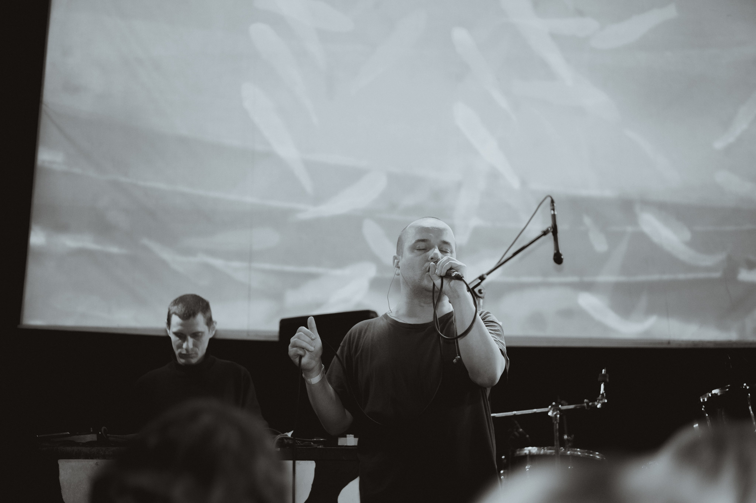 10.01.2025. Анна Мильч