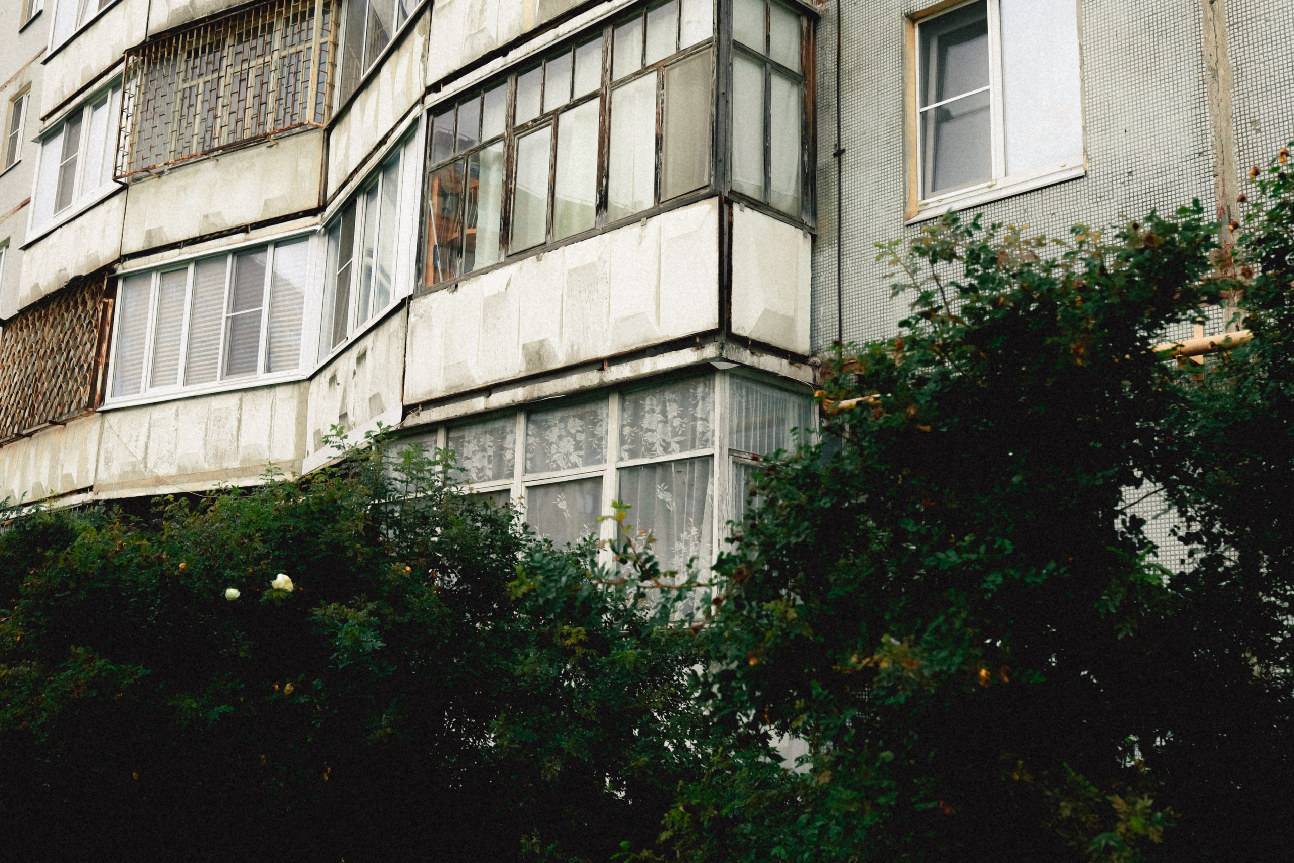 Череповец. Анна Мильч