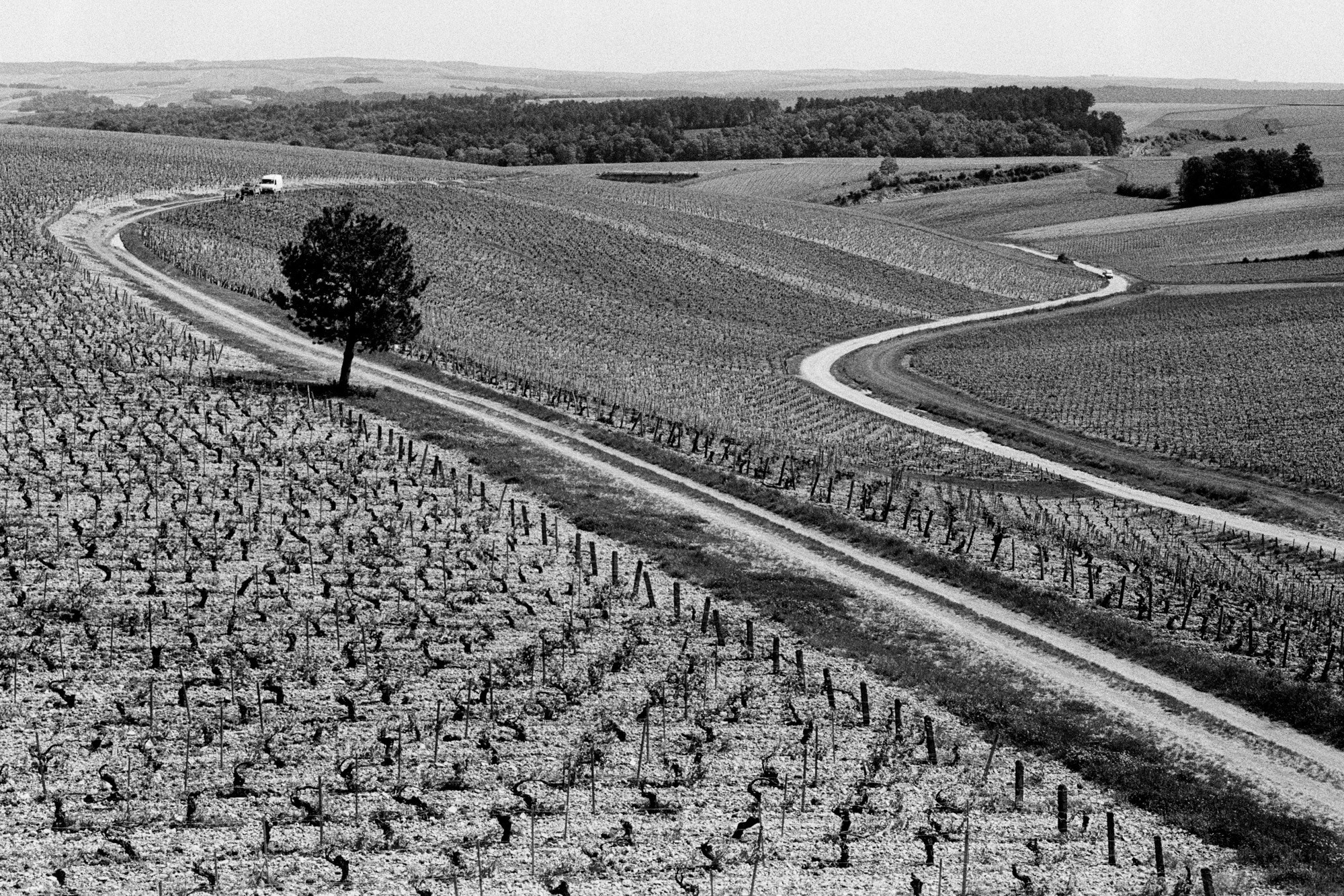 Memories of France. Документальный фотограф Алексей Мякишев, Москва
