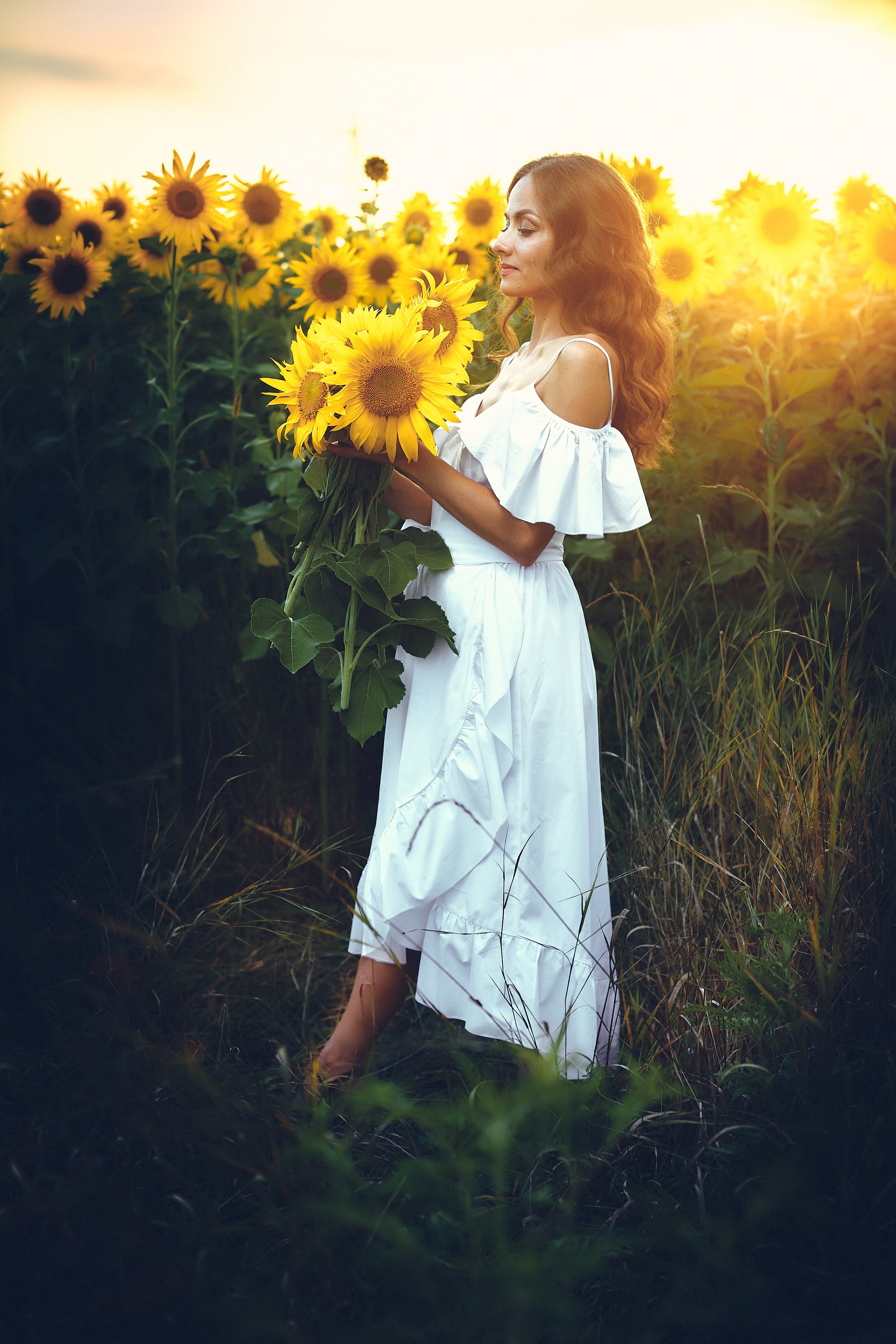 Ольга. Подсолнухи. Петр Ступень. Свадебное, семейное фото и видео. Москва. Краснодар