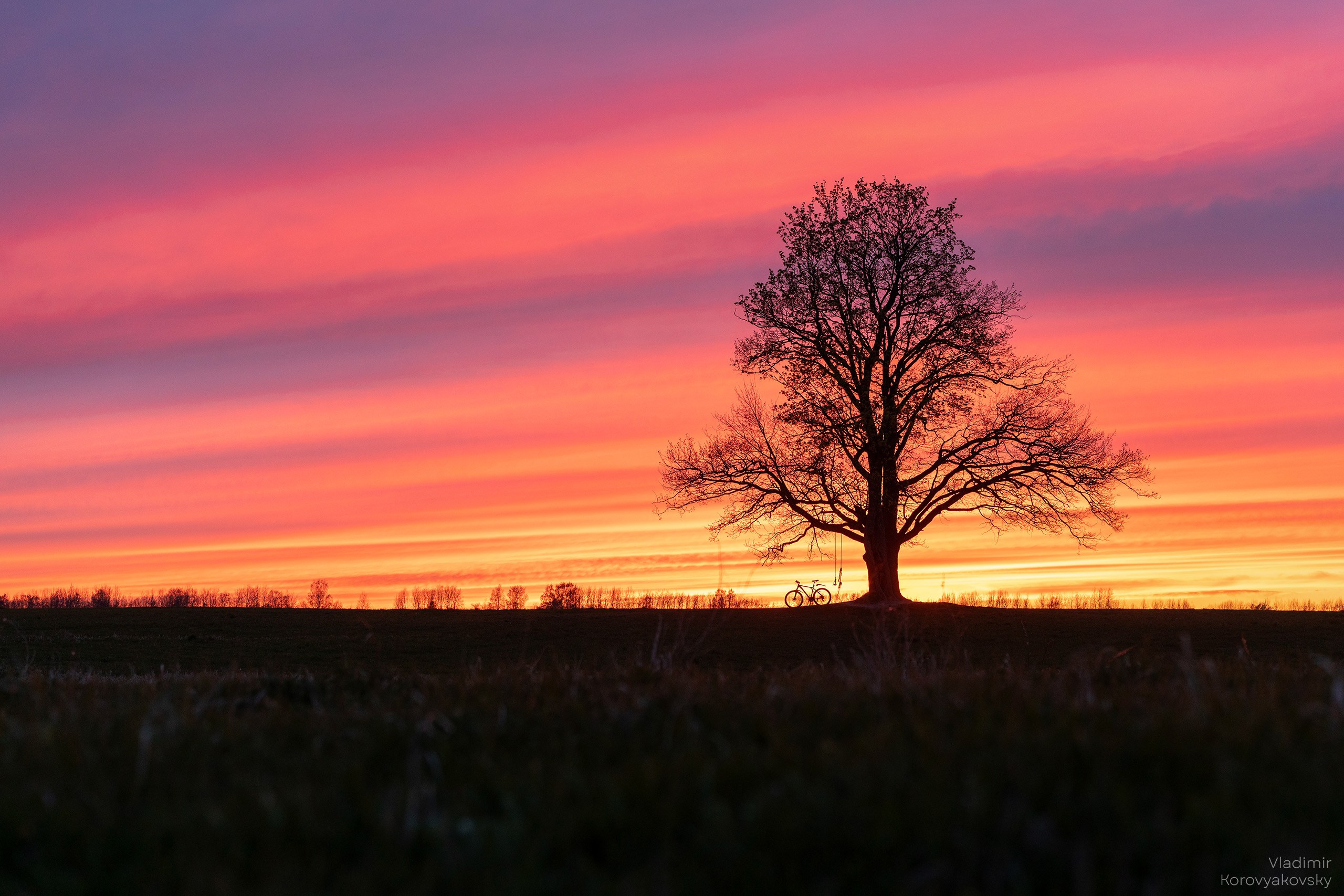 Nature. Photographer Vladimir Korovyakovsky