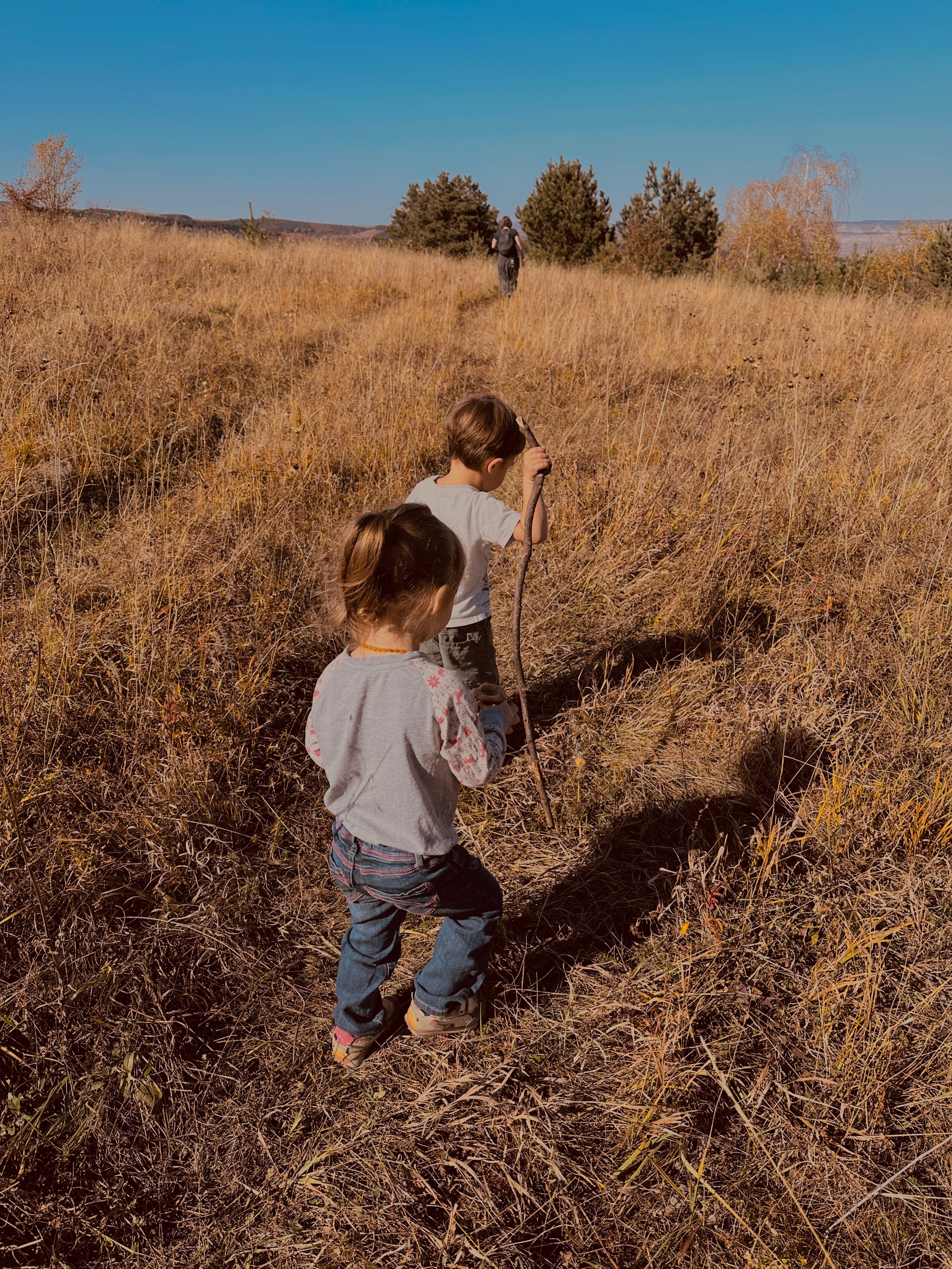 Дети. Смотри, красота!