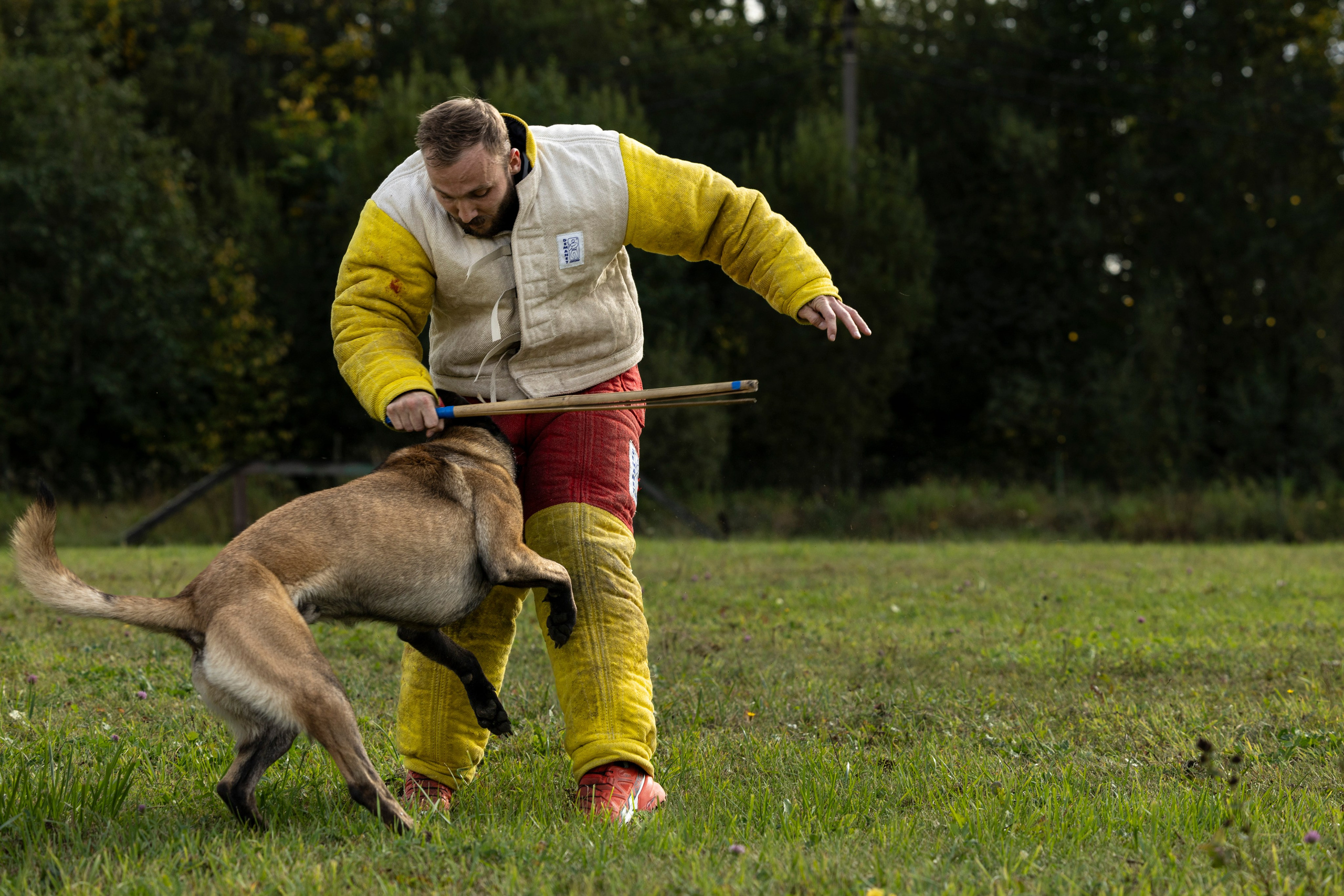Испытания по Мондьорингу г. Пушкин. Фотограф-анималист Анна Маринич