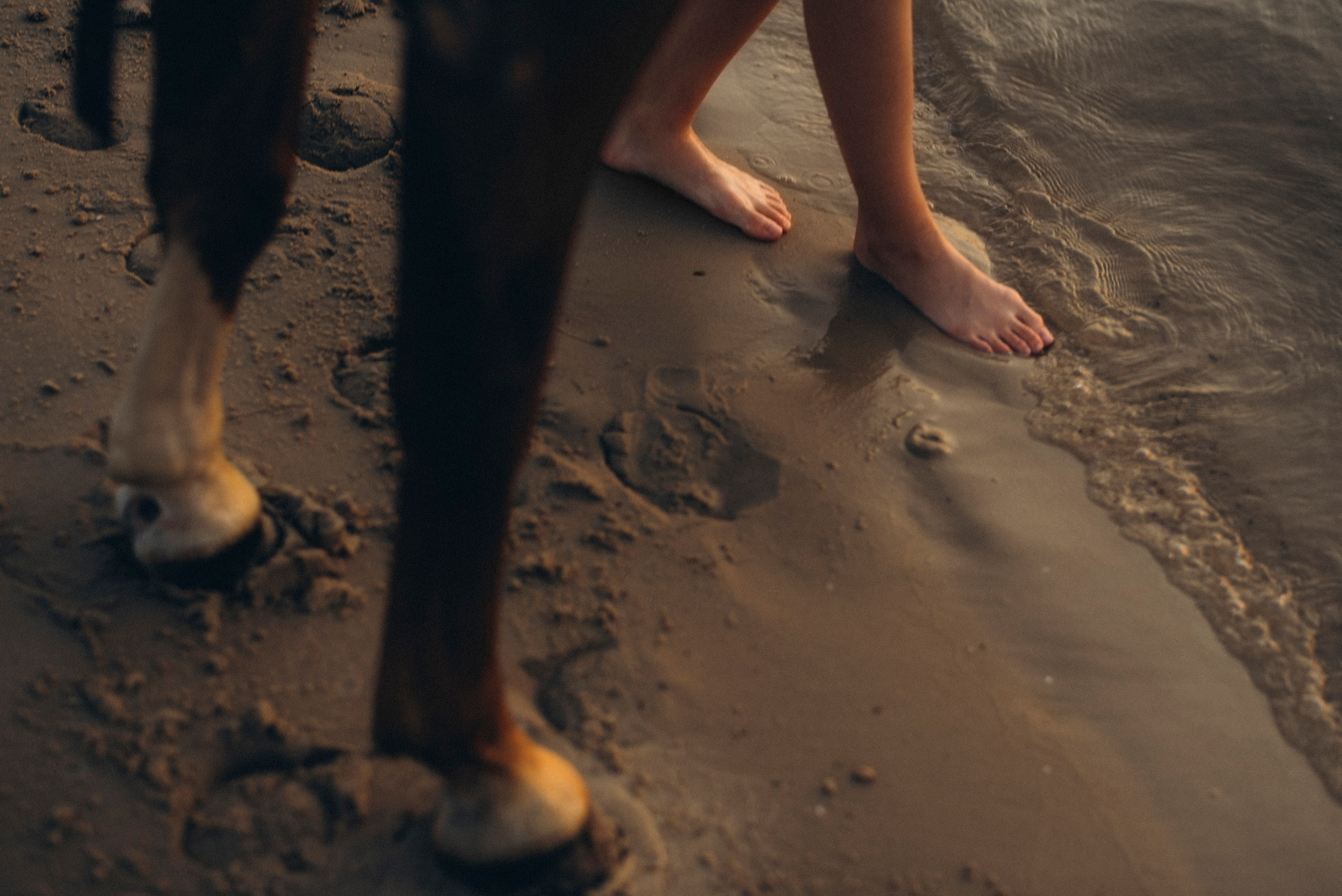 Август. Свадебный фотограф Ростов-на-Дону от 4 400 руб. |Кристина Гайсенюк