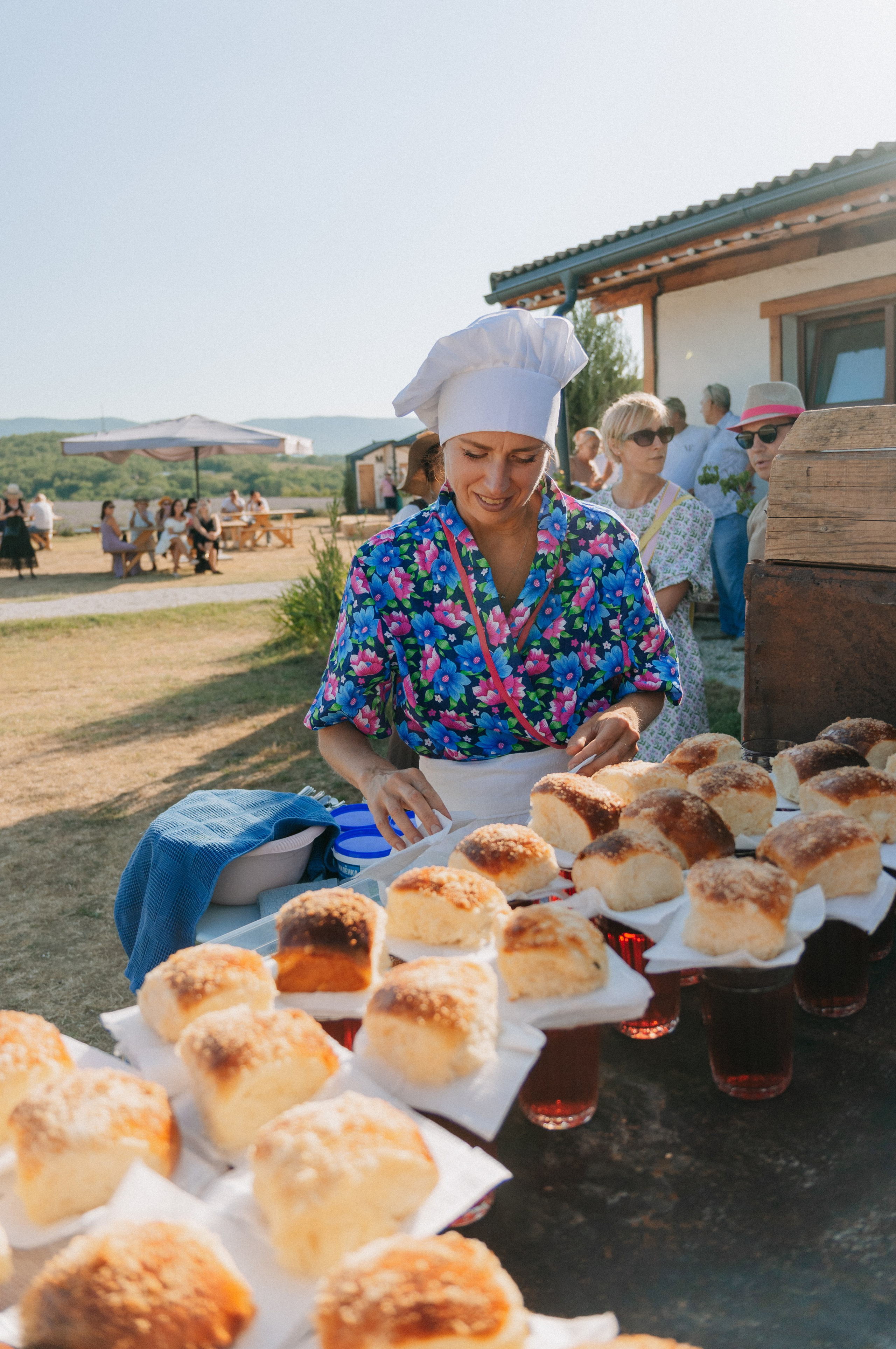 Сбор урожая | лавандовая ферма Viva Lavanda. Обо мне