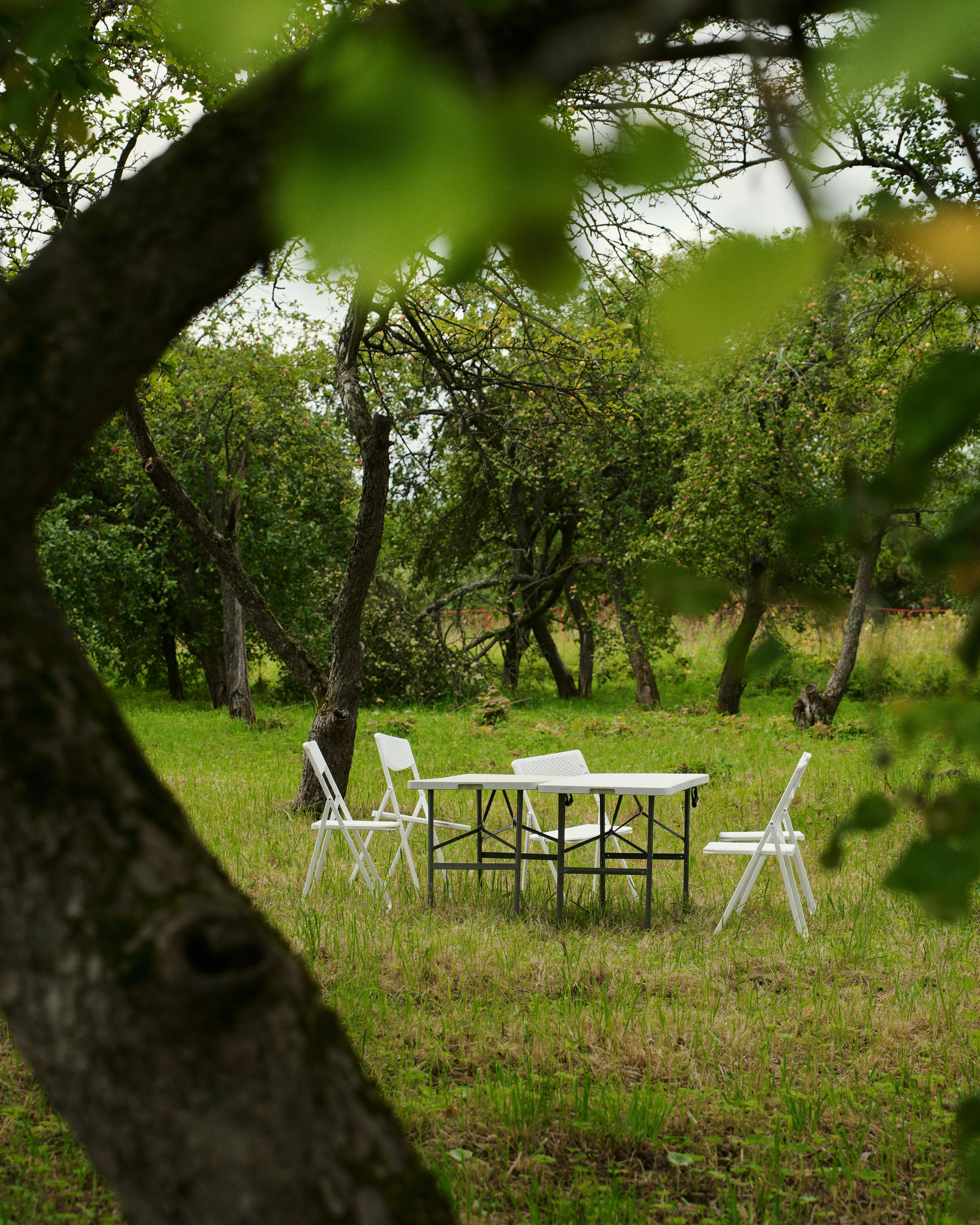 PODMOKLOVO. ANNA — PHOTOGRAPHER