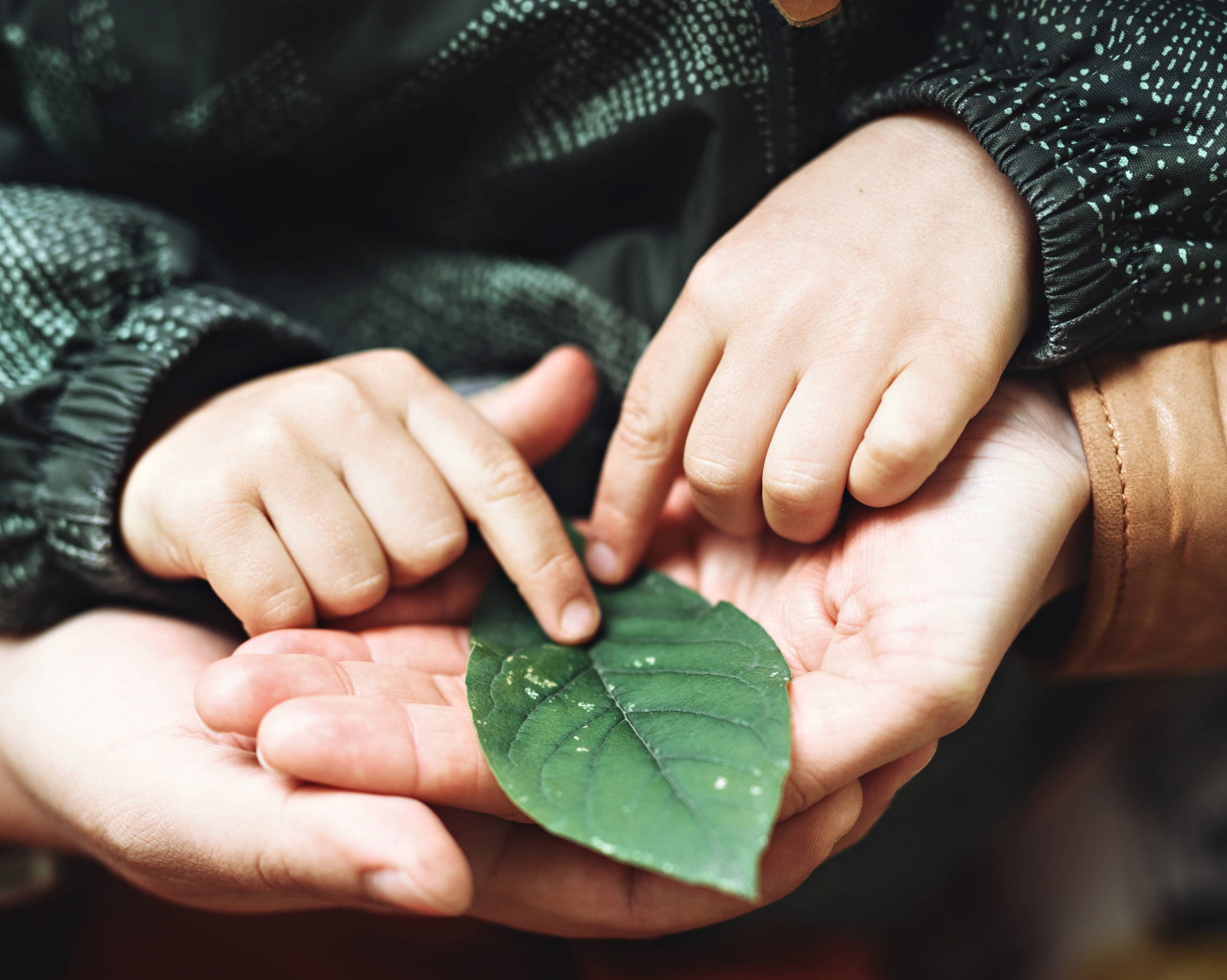Роман, Дарья и Даня. Агентство личного бренда «Брендовски»