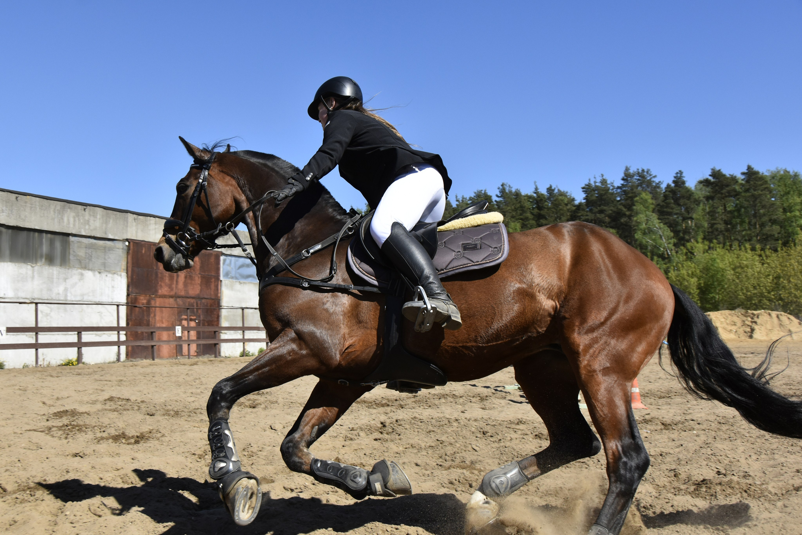 Соревнования по конкуру. КСК «Галактика». Конный фотограф Москва