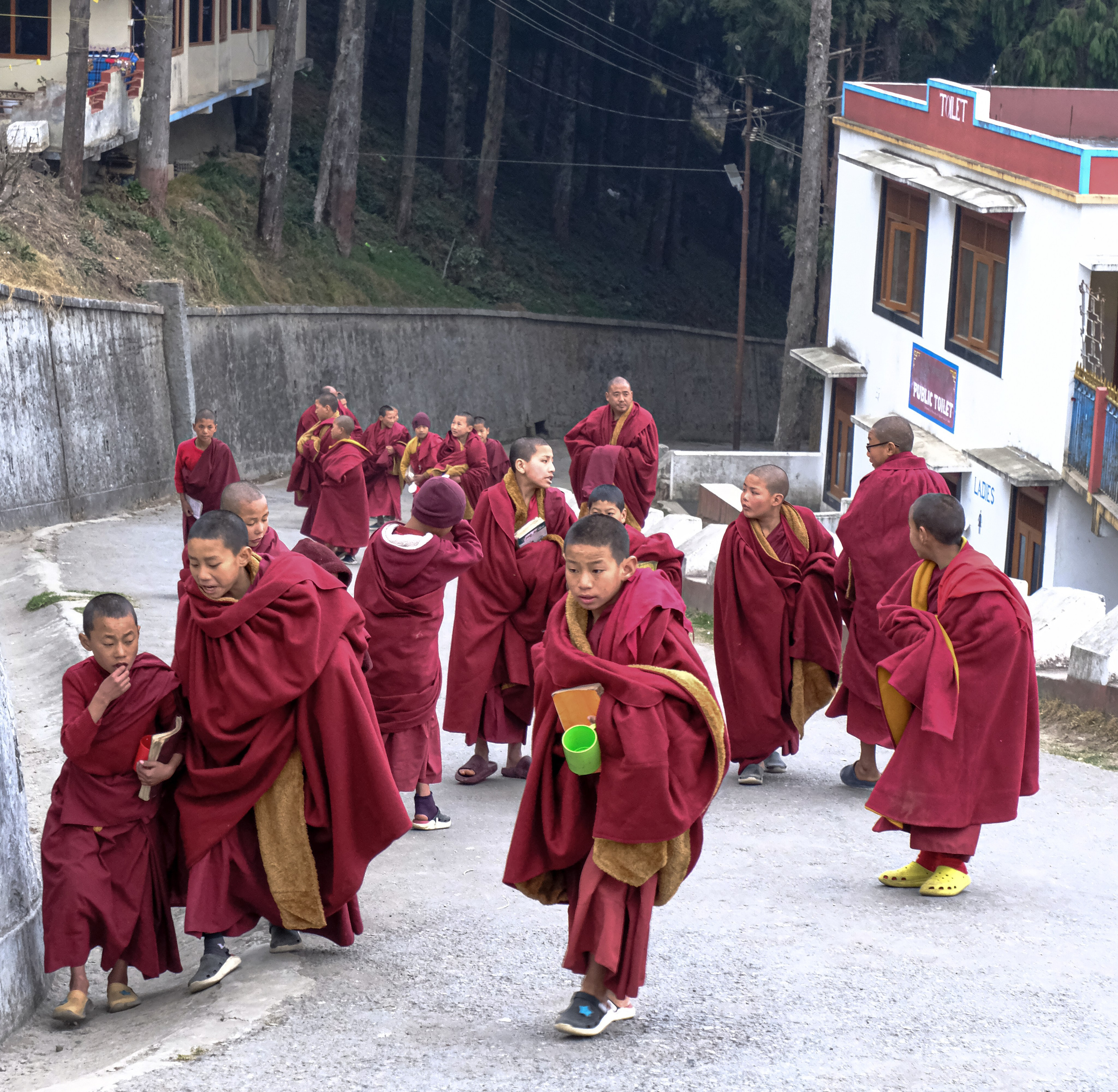 Индия штат Аруначал-Прадеш. Фотографии из путешествий